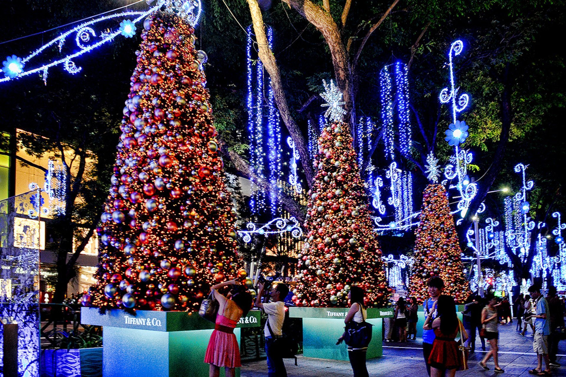 Luzes de Natal na Orchard Road (Natal em Great Street)