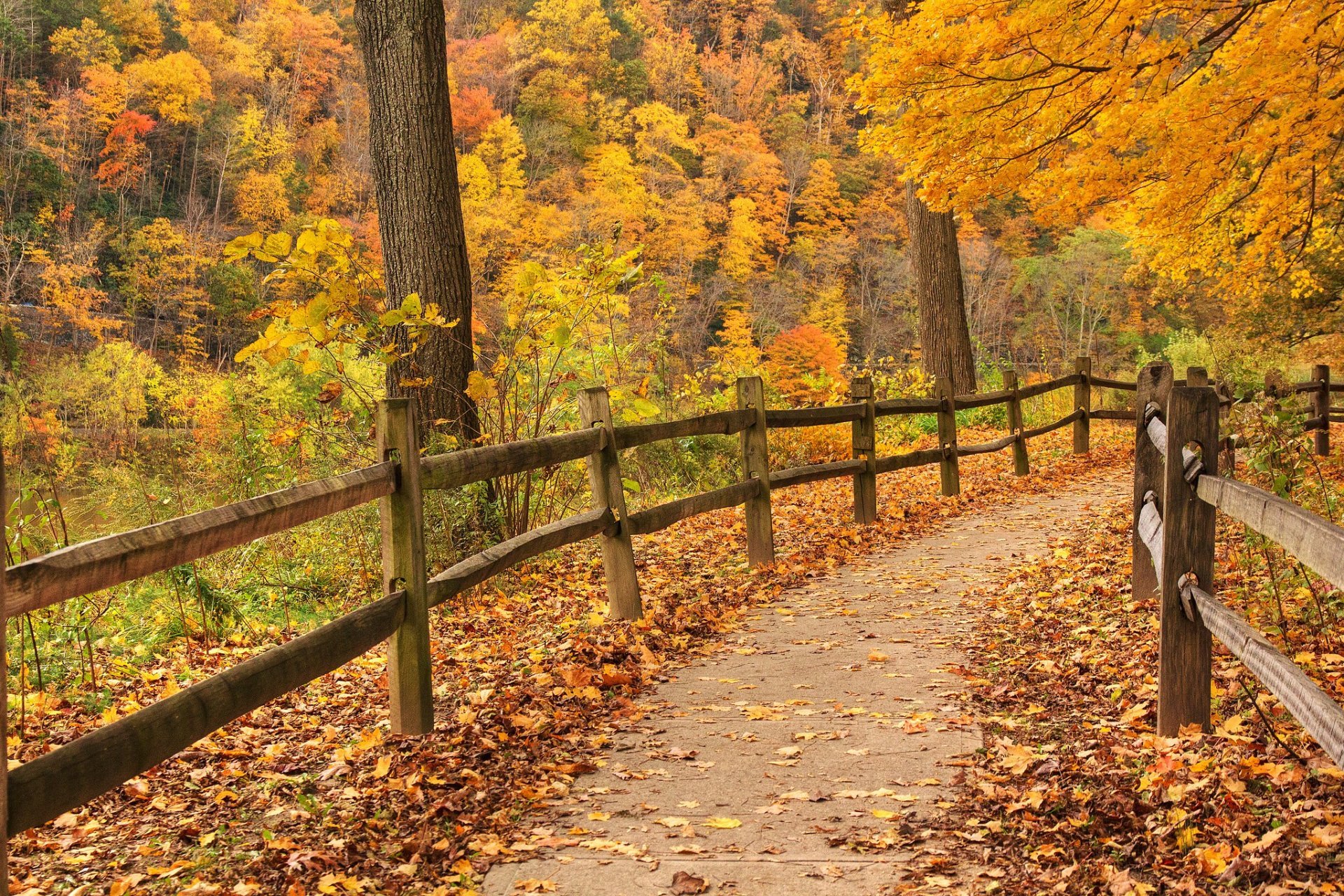 Colores de otoño en Delaware Water Gap