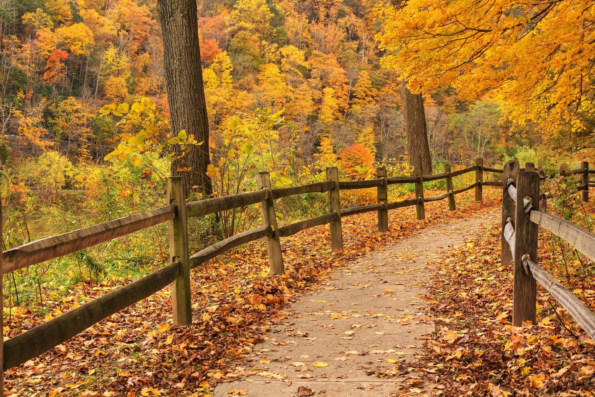 Colori autunnali a Delaware Water Gap