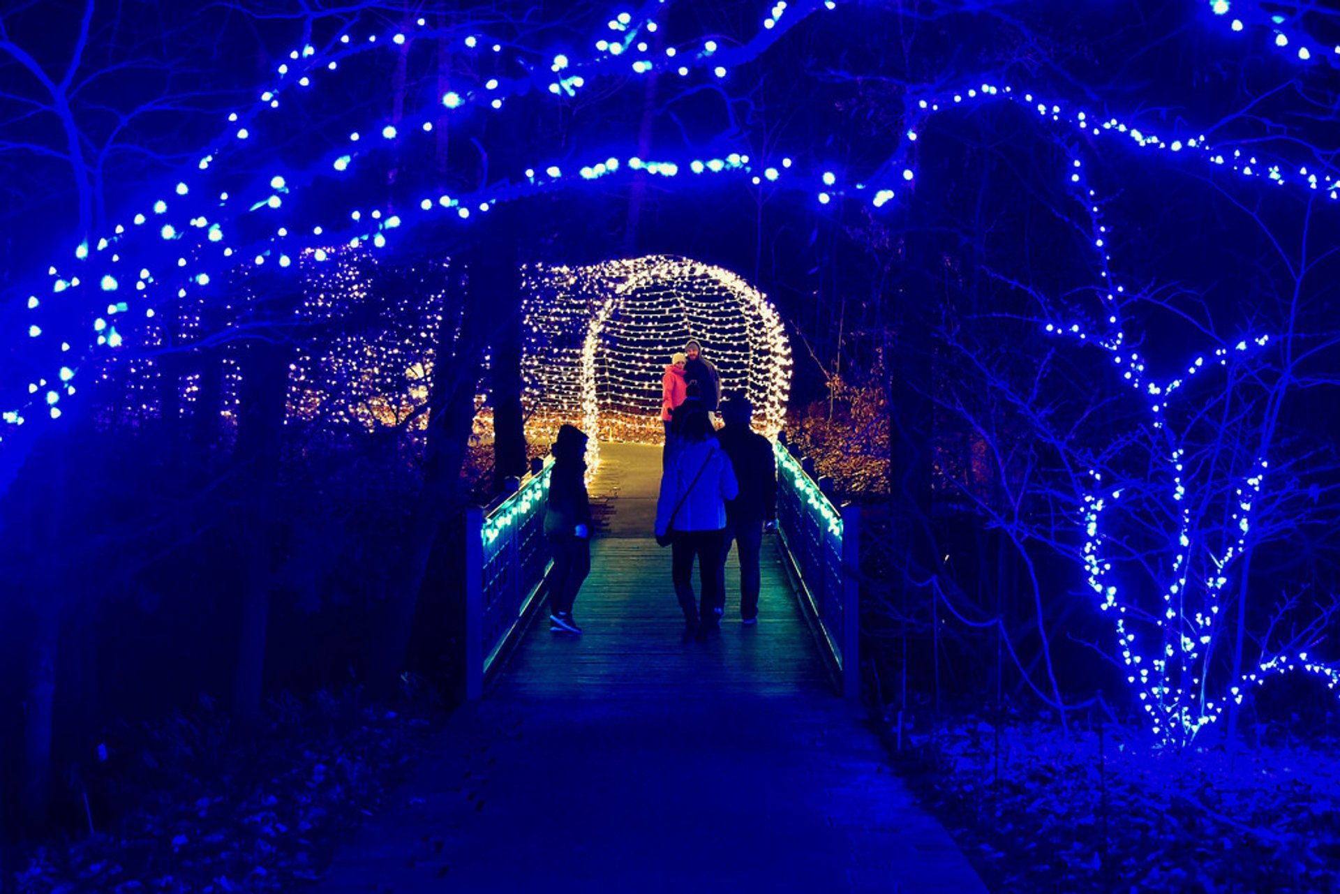 Powell gardens festival store of lights