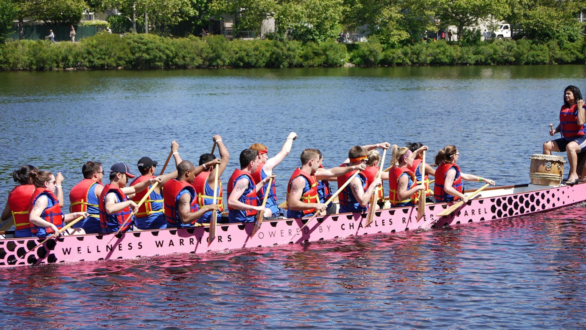 Festival delle barche dragone di Boston