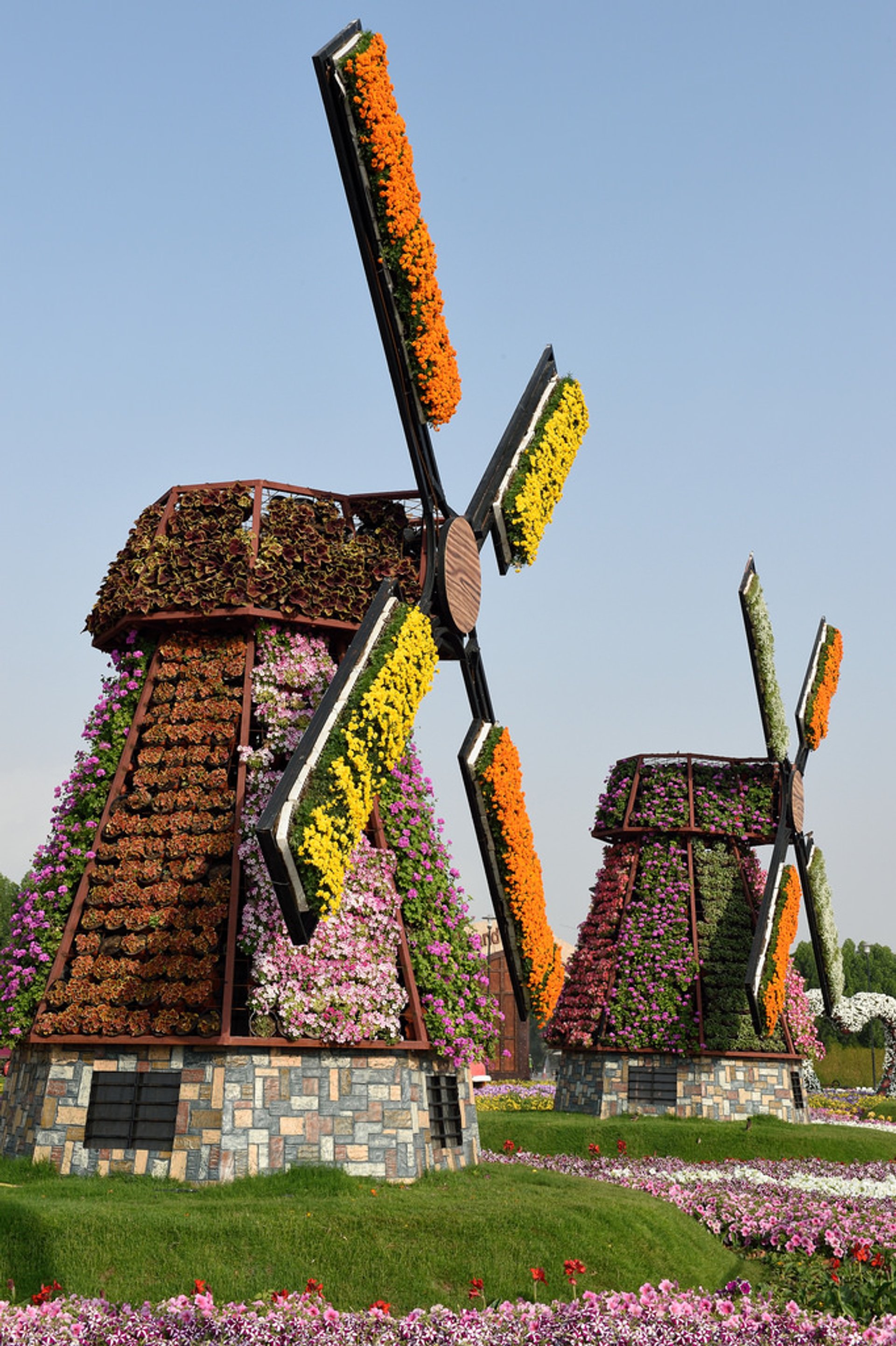 Best Time to See Dubai Miracle Garden 2024 When to See Rove.me