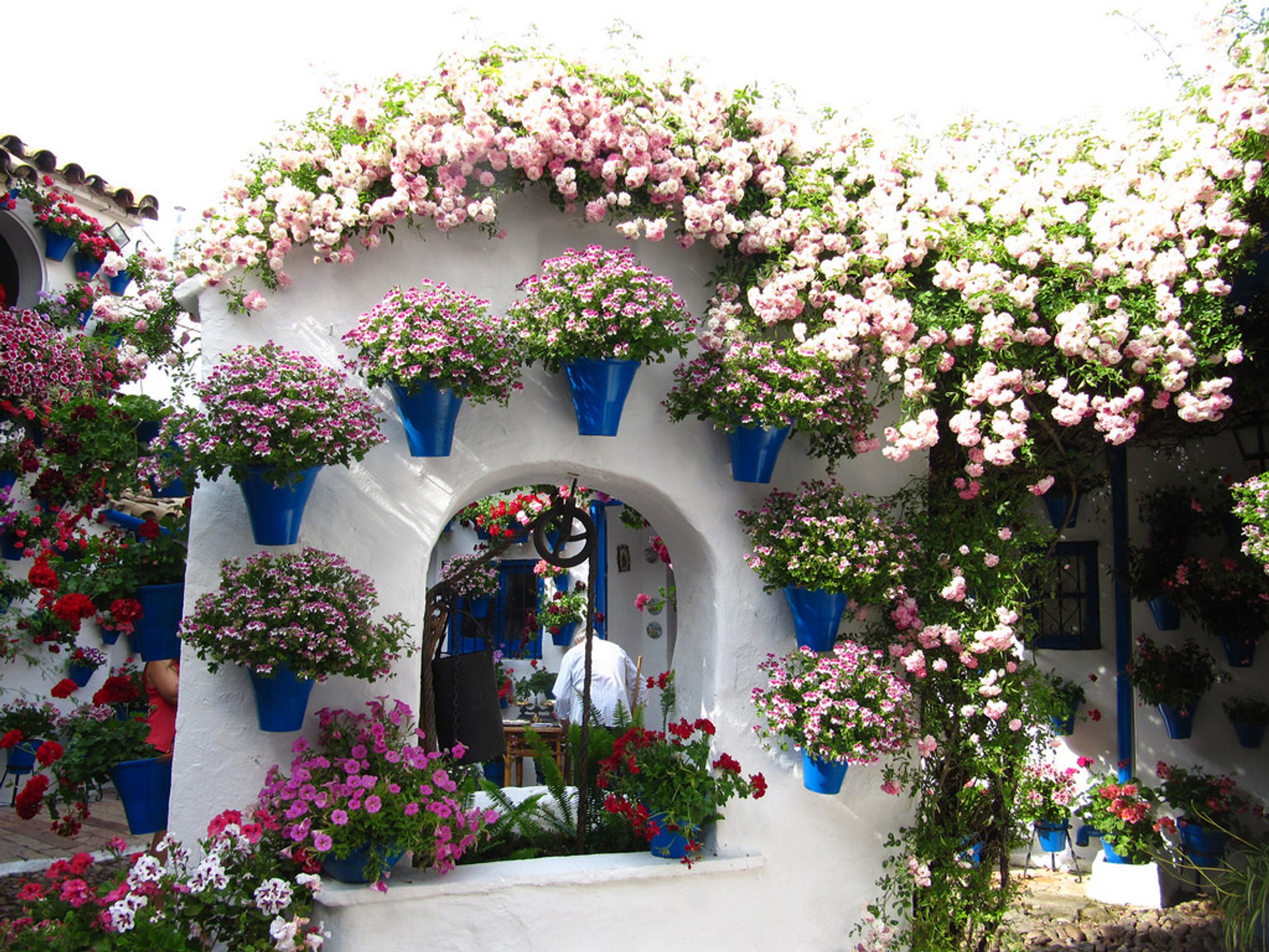 Fiesta de los Patios de Córdoba