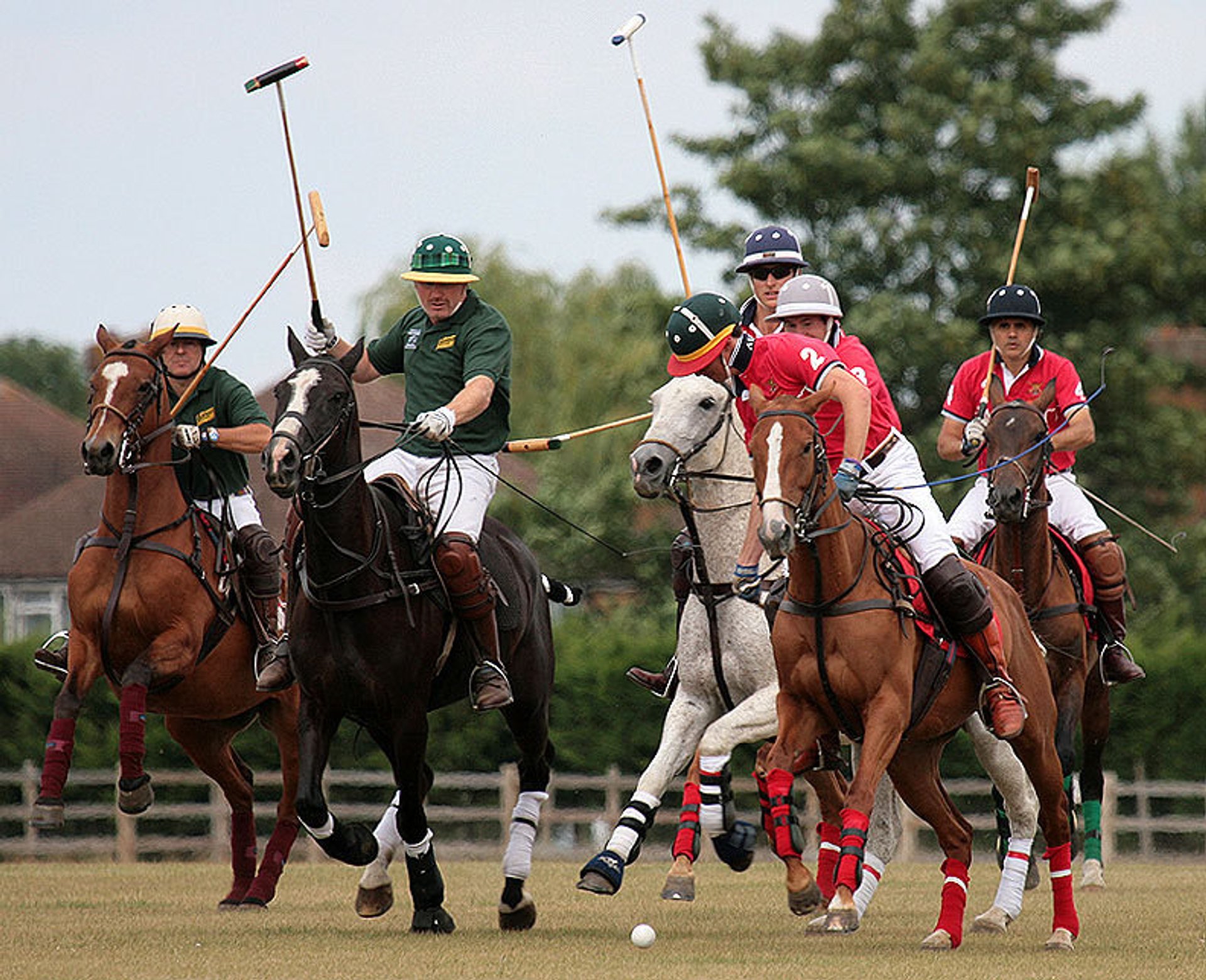 Polo Tournament 2024 - Merla Stephie