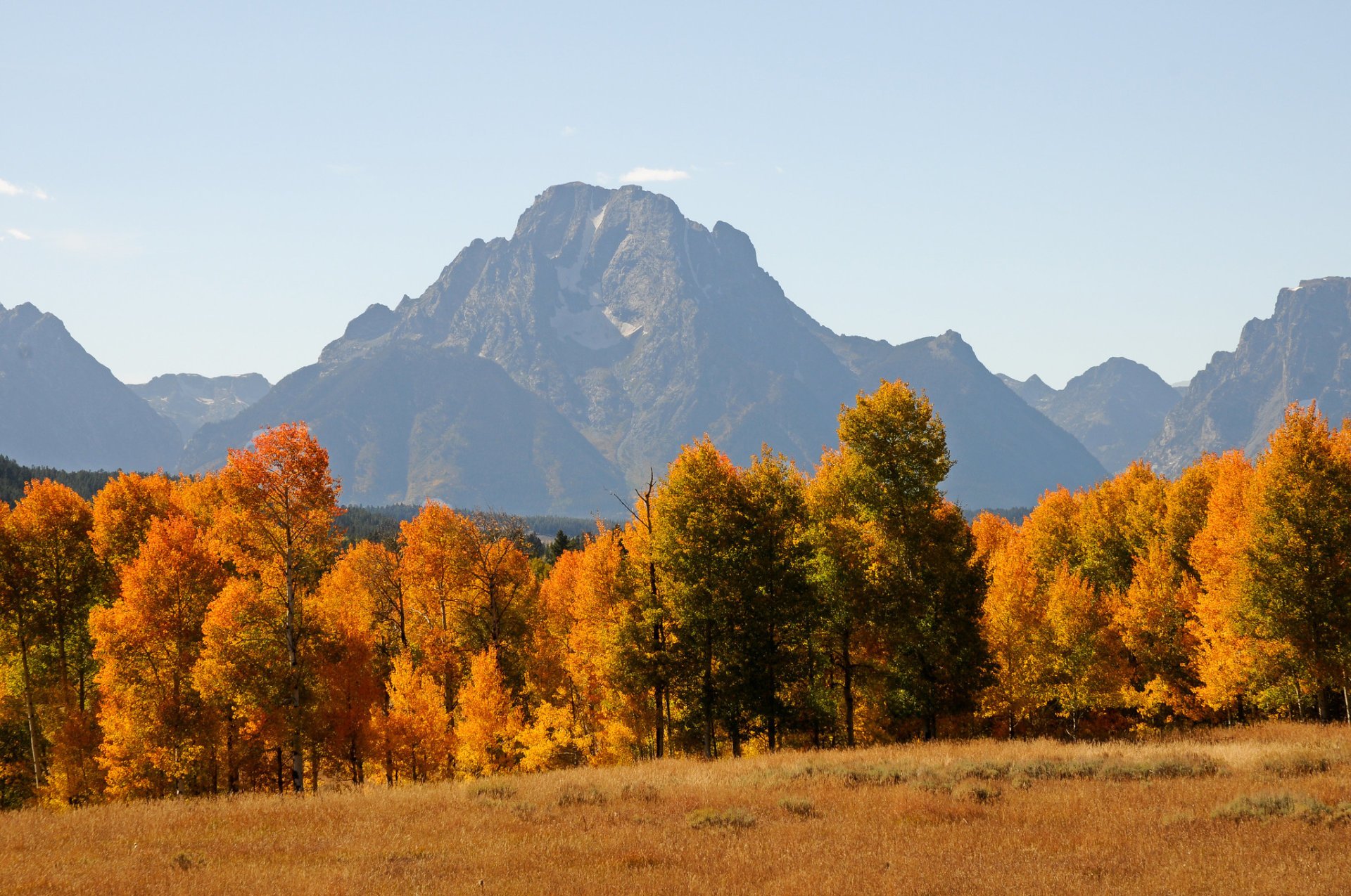 Colores de otoño de Grand Teton