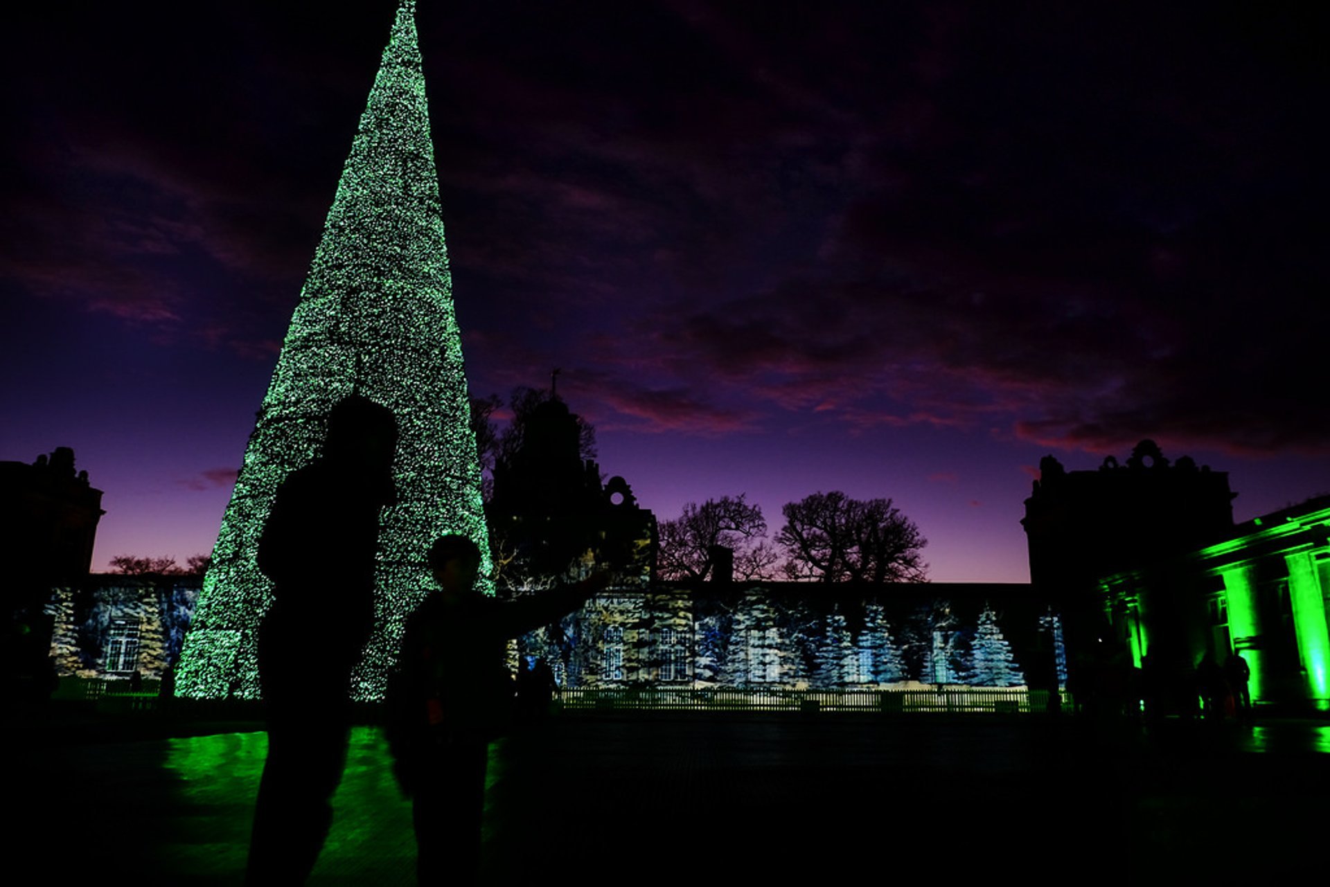 Longleat Xmas Lights 2024 - Lacee Minette