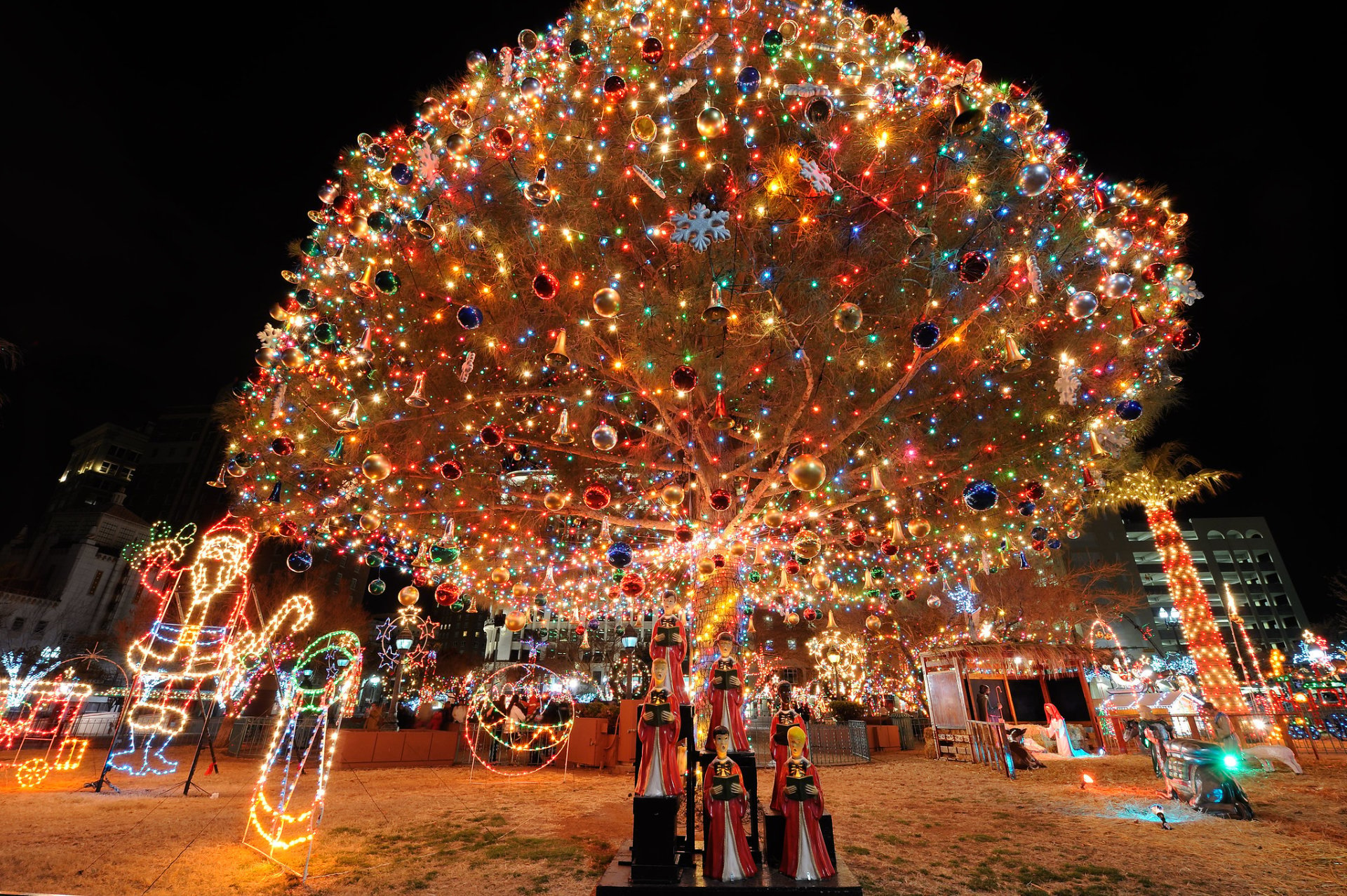 El Paso Christmas Lights 20222023 in El Paso, TX Dates