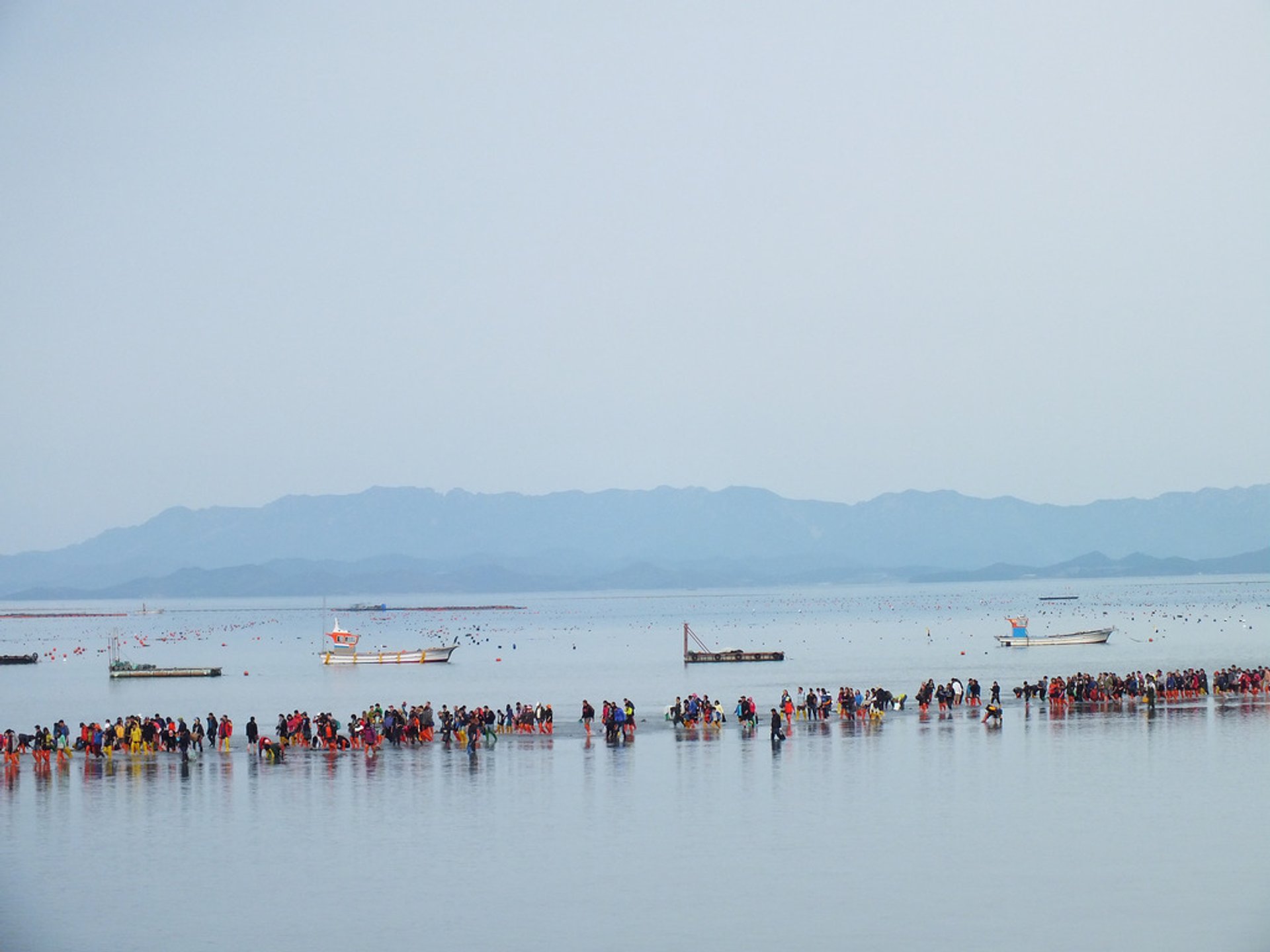 Jindo Miracle Sea Road Festival 2025 in South Korea - Rove.me