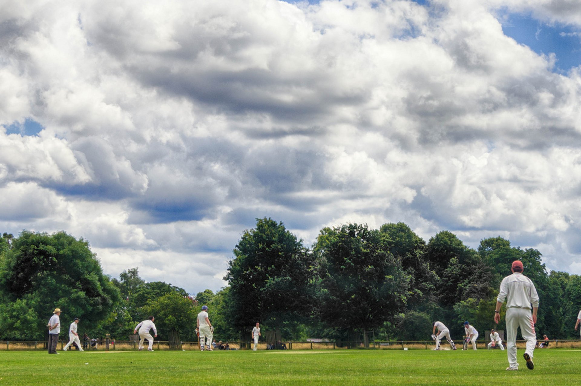 Cricket anglais