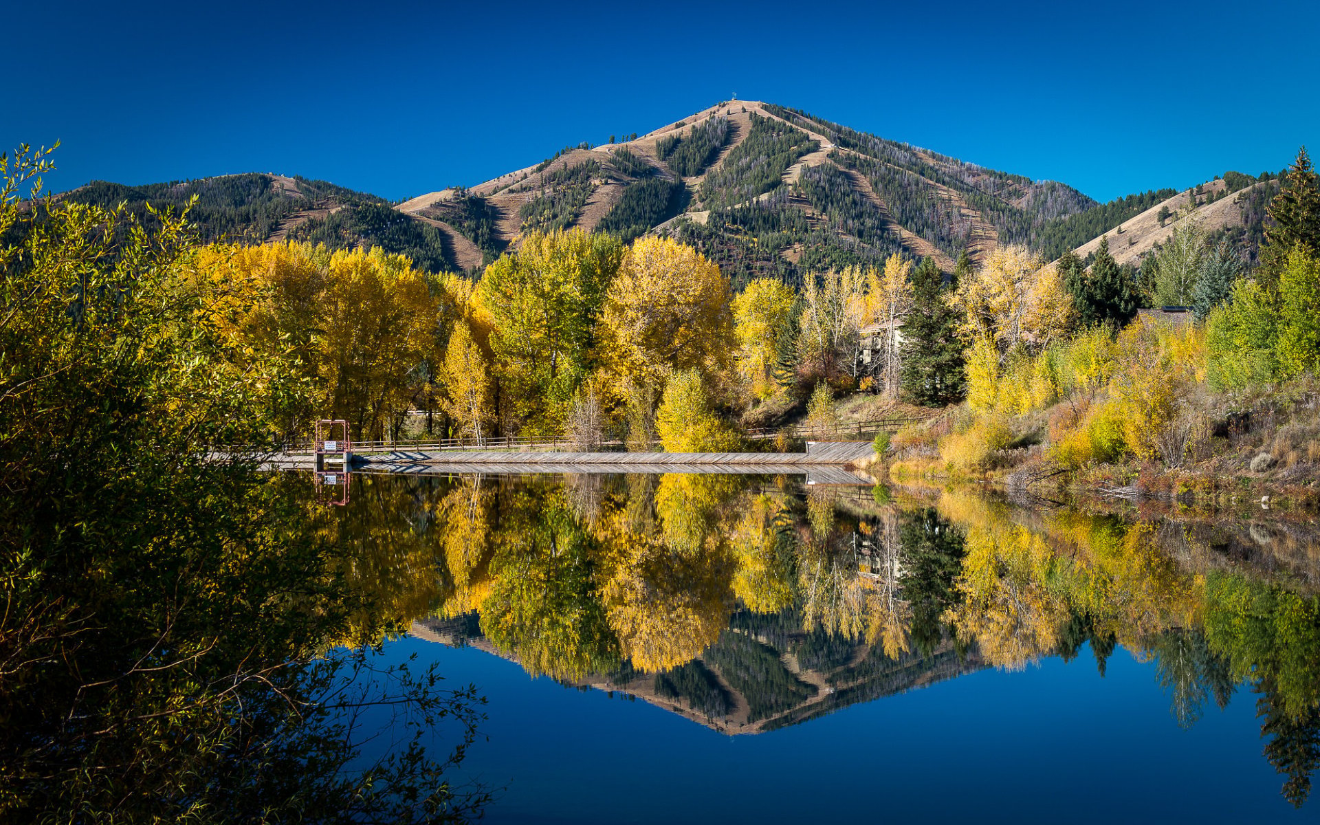 Colores del otoño en Idaho