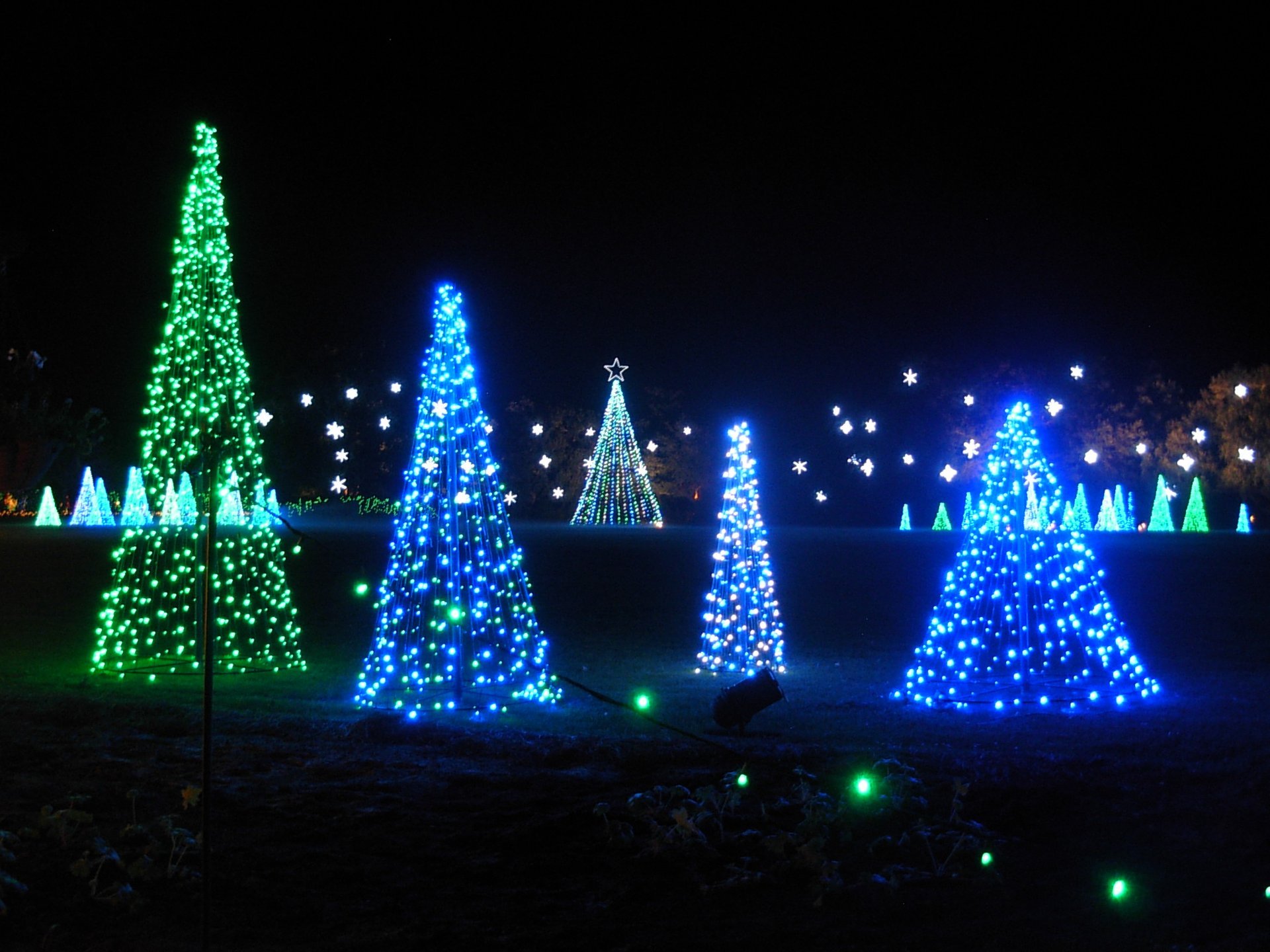 South Coast Plaza Traditional Tree Lighting Ceremony