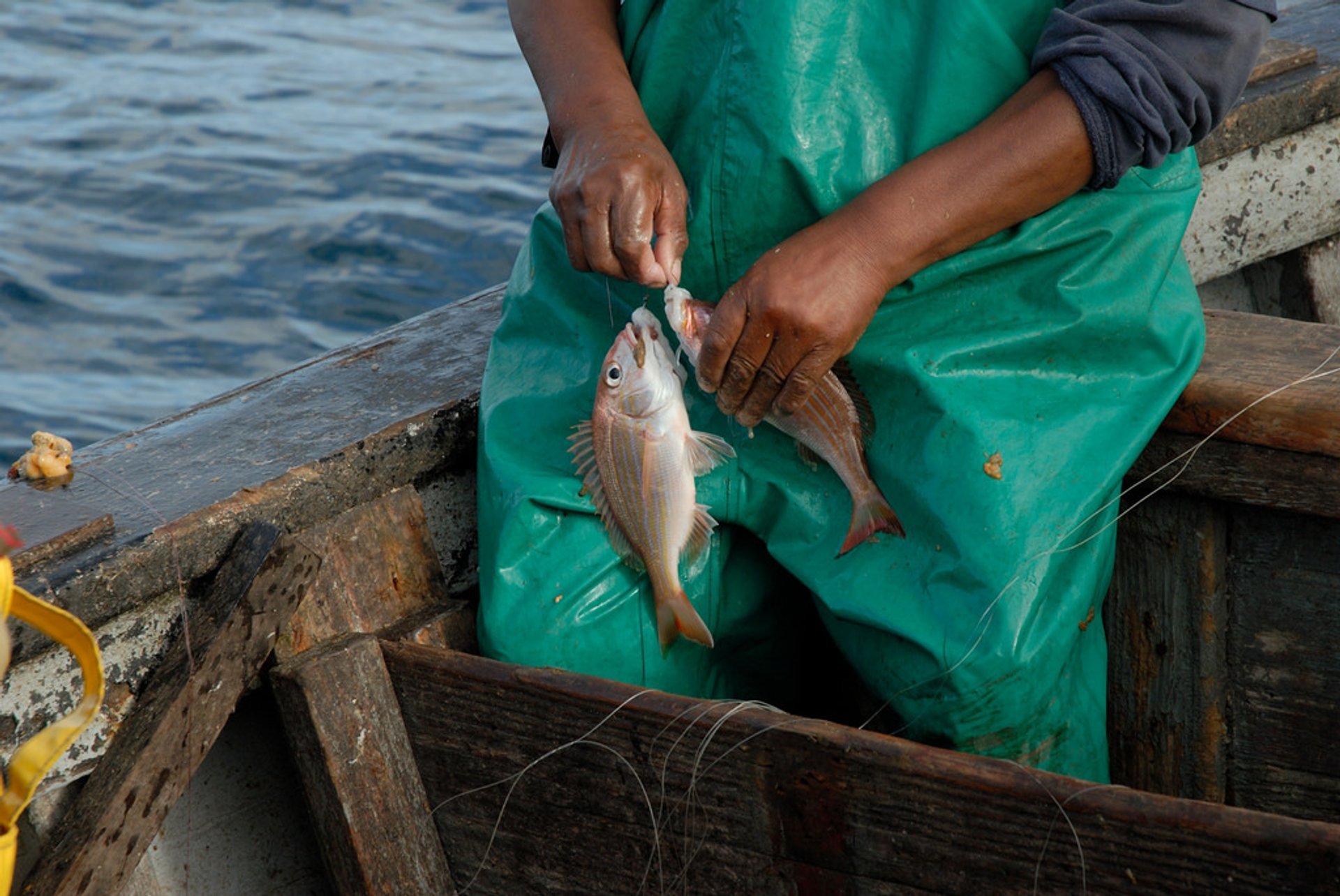 South Africa, Fishing, Angling