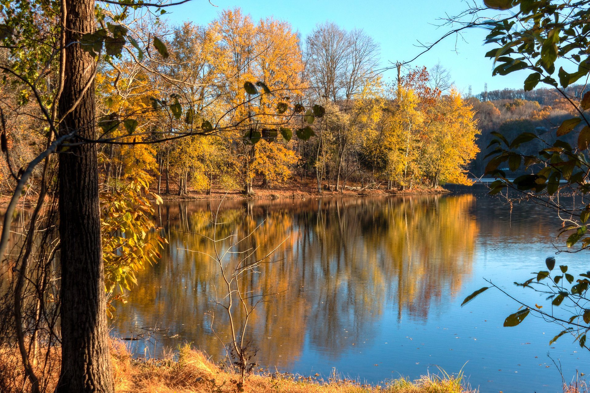 Colores de otoño