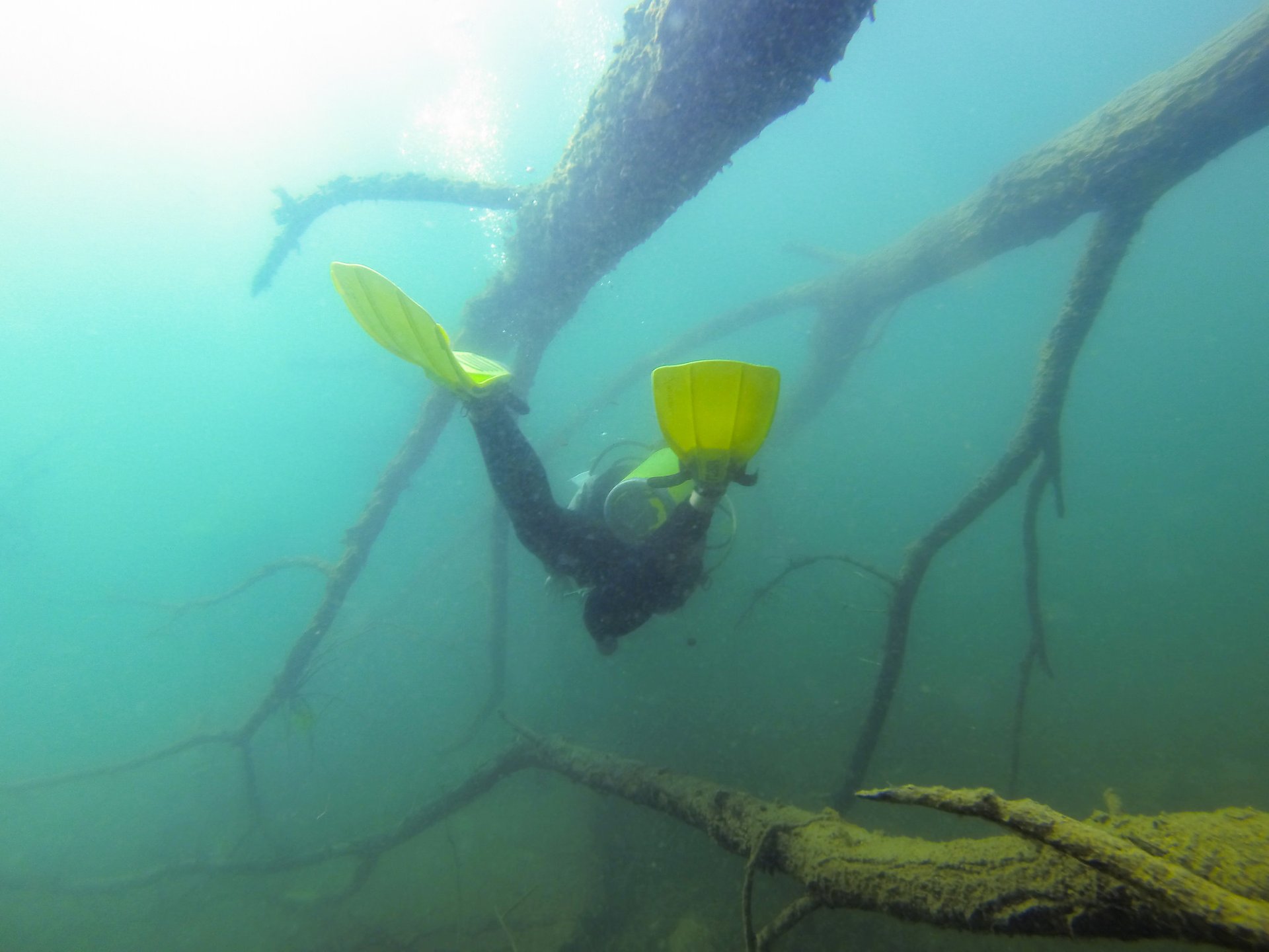 Buceo o submarinismo