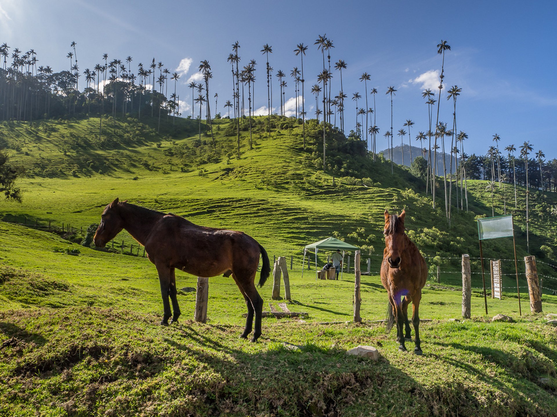 Montar a cavalo