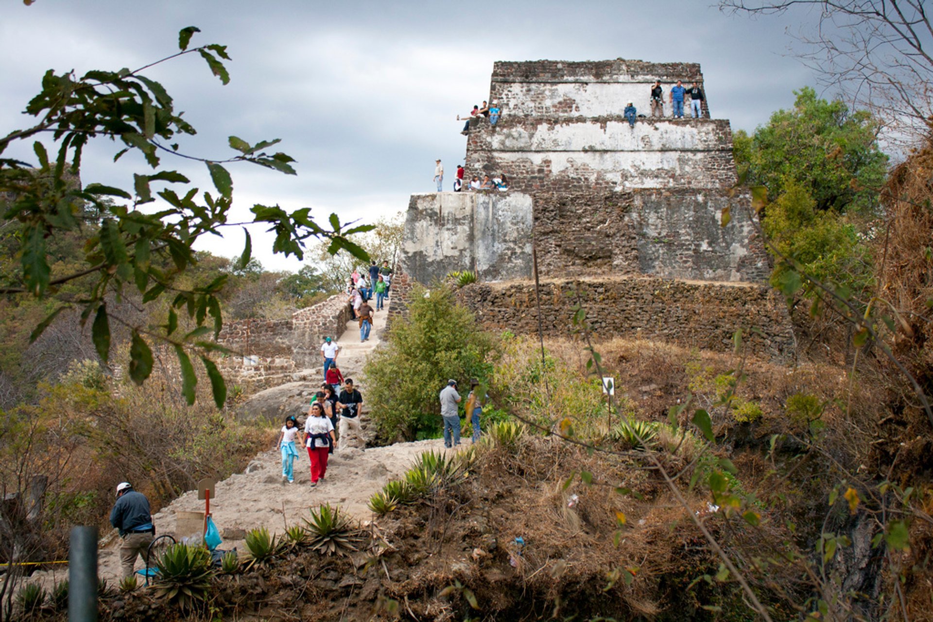 Explorer les ruines mayas