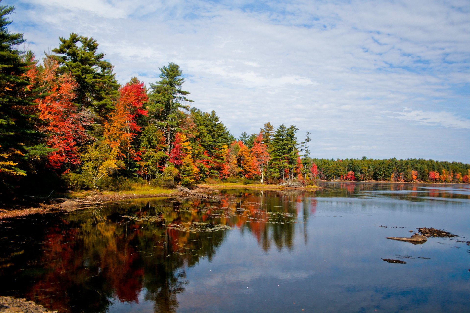 Colores de otoño de Maine
