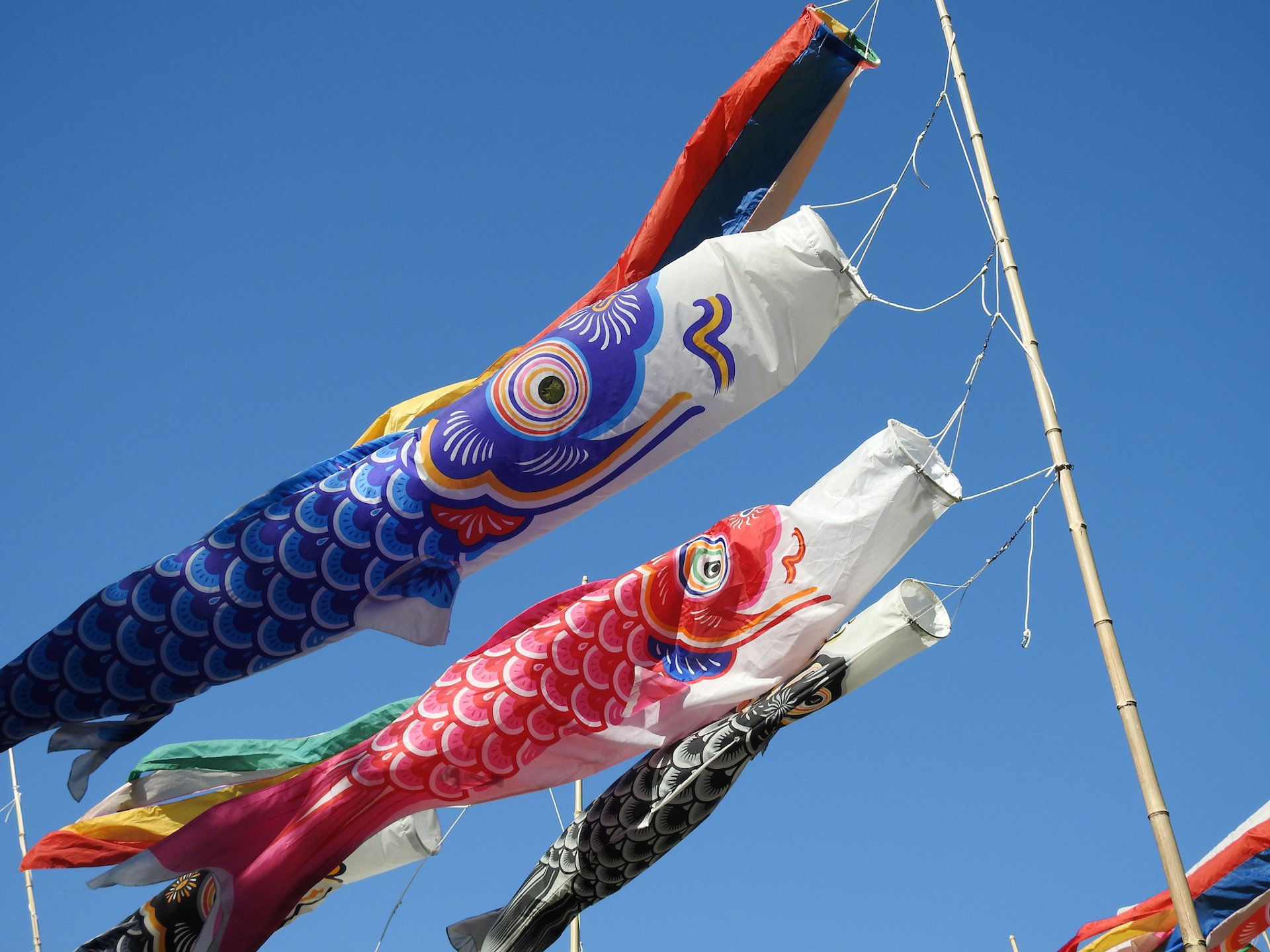 Japanese Festival 2023 in Midwest Dates