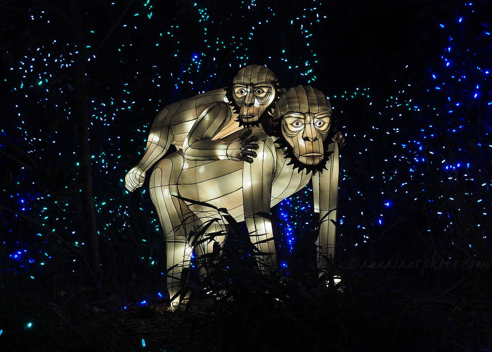 Lumières de Noël à Ohio