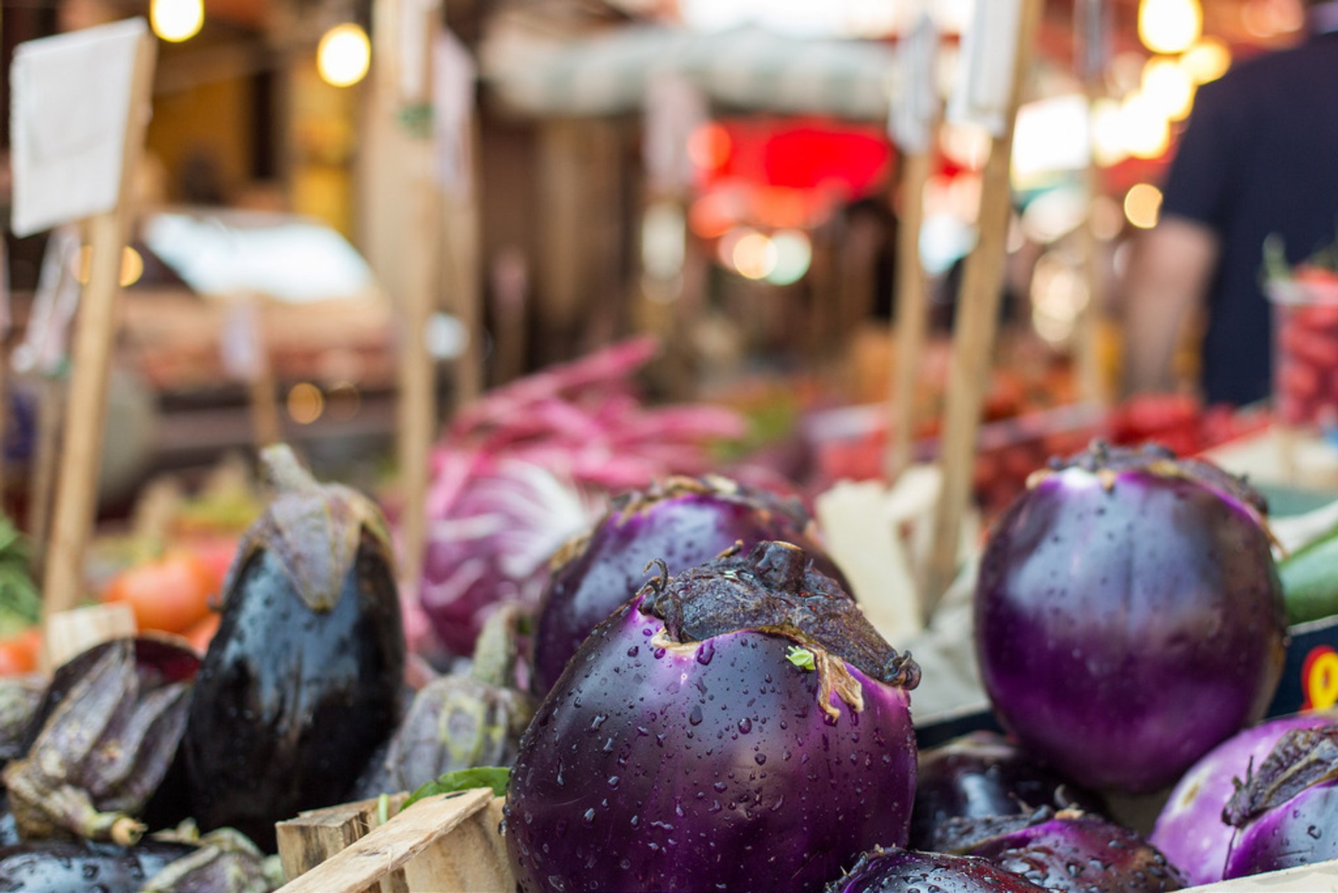 Temporada da Aubergina