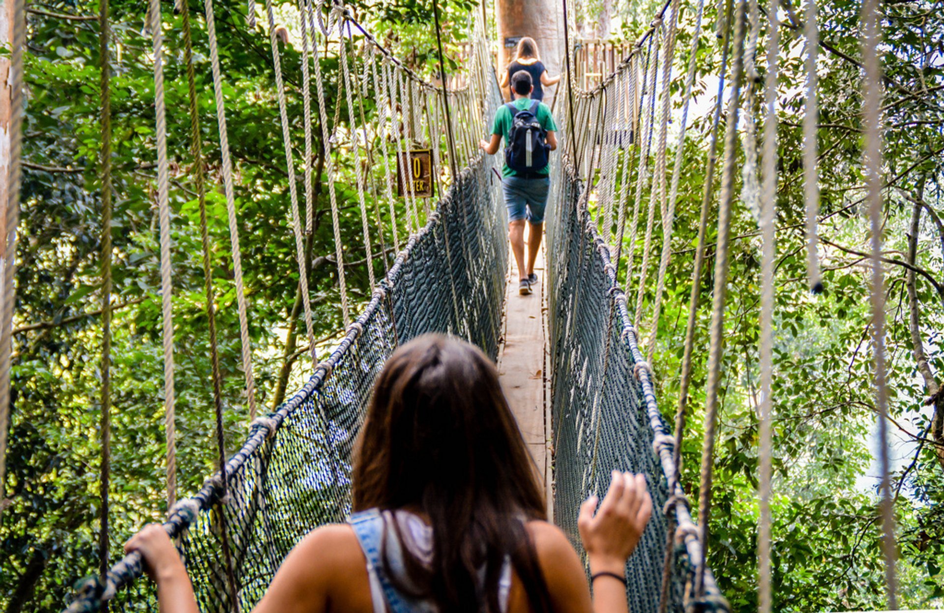 Canopy Walks en Malasia peninsular