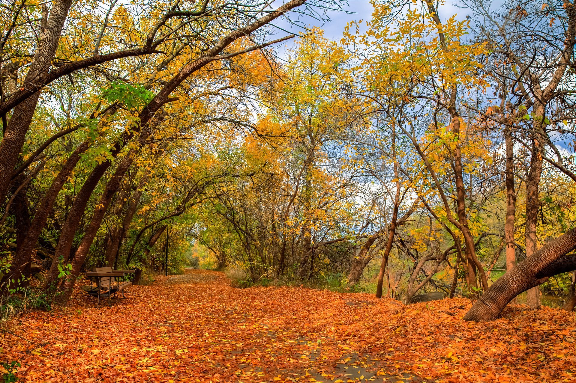 Texas Hill Country Fall Colors