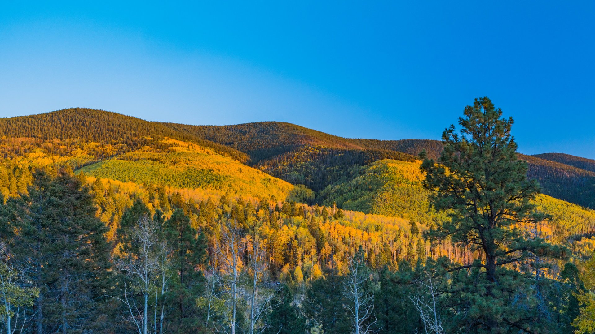 Couleurs d'automne de Breckenridge