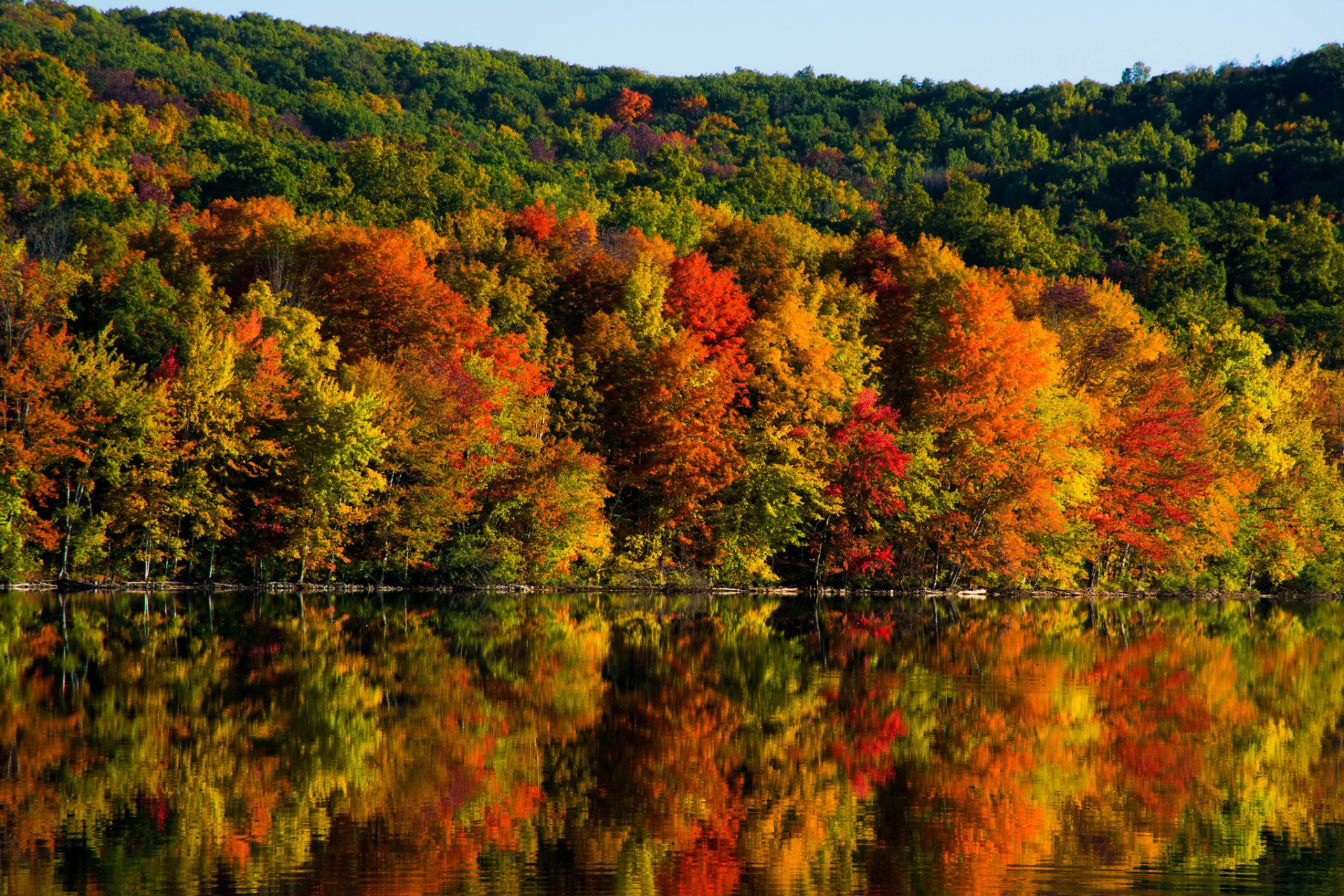 Peak Fall Foliage New England 2023 Map