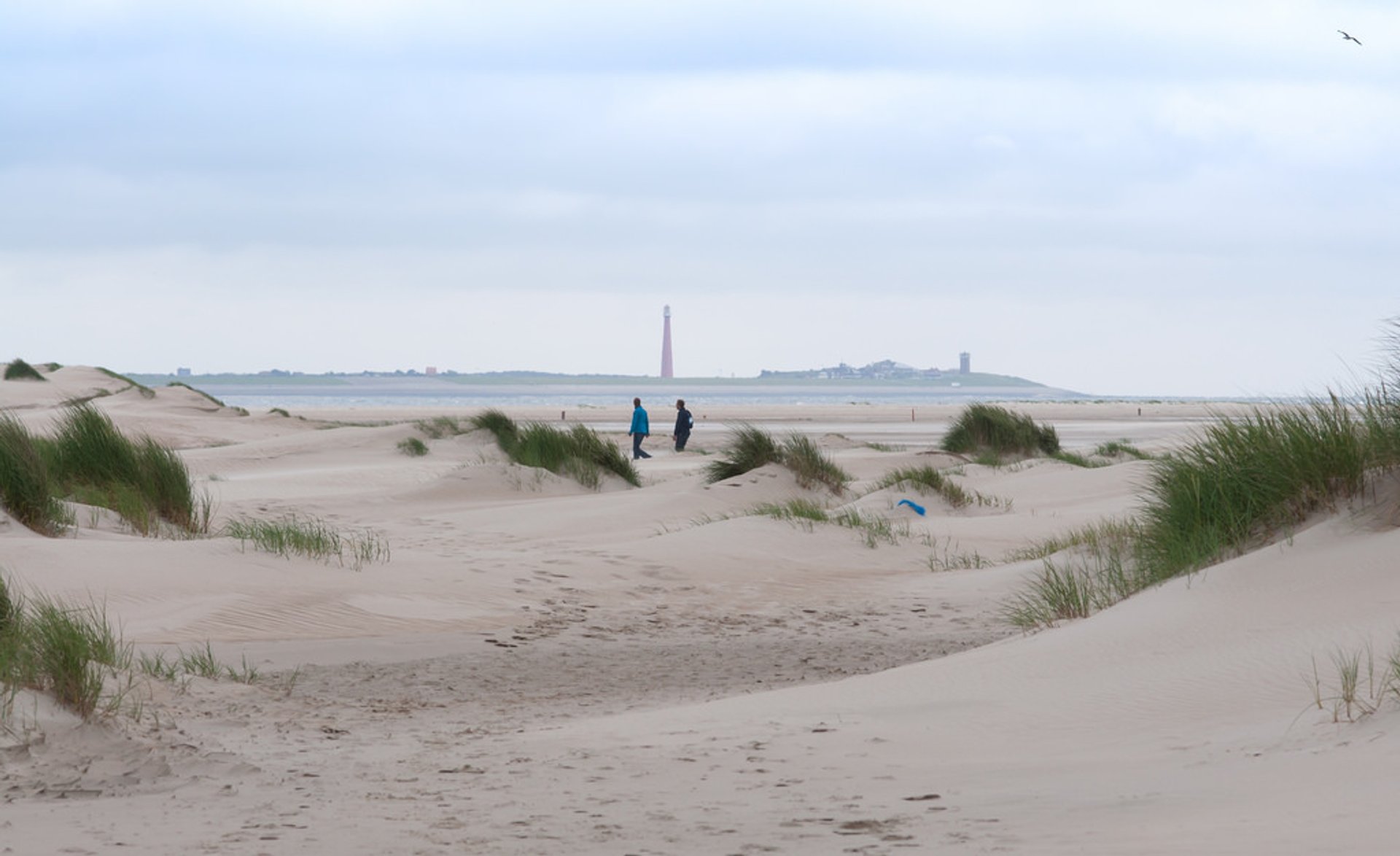Dune a Texel