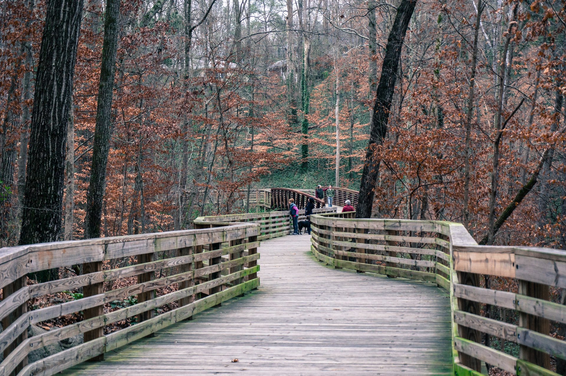 Couleurs d'automne à et près d'Atlanta