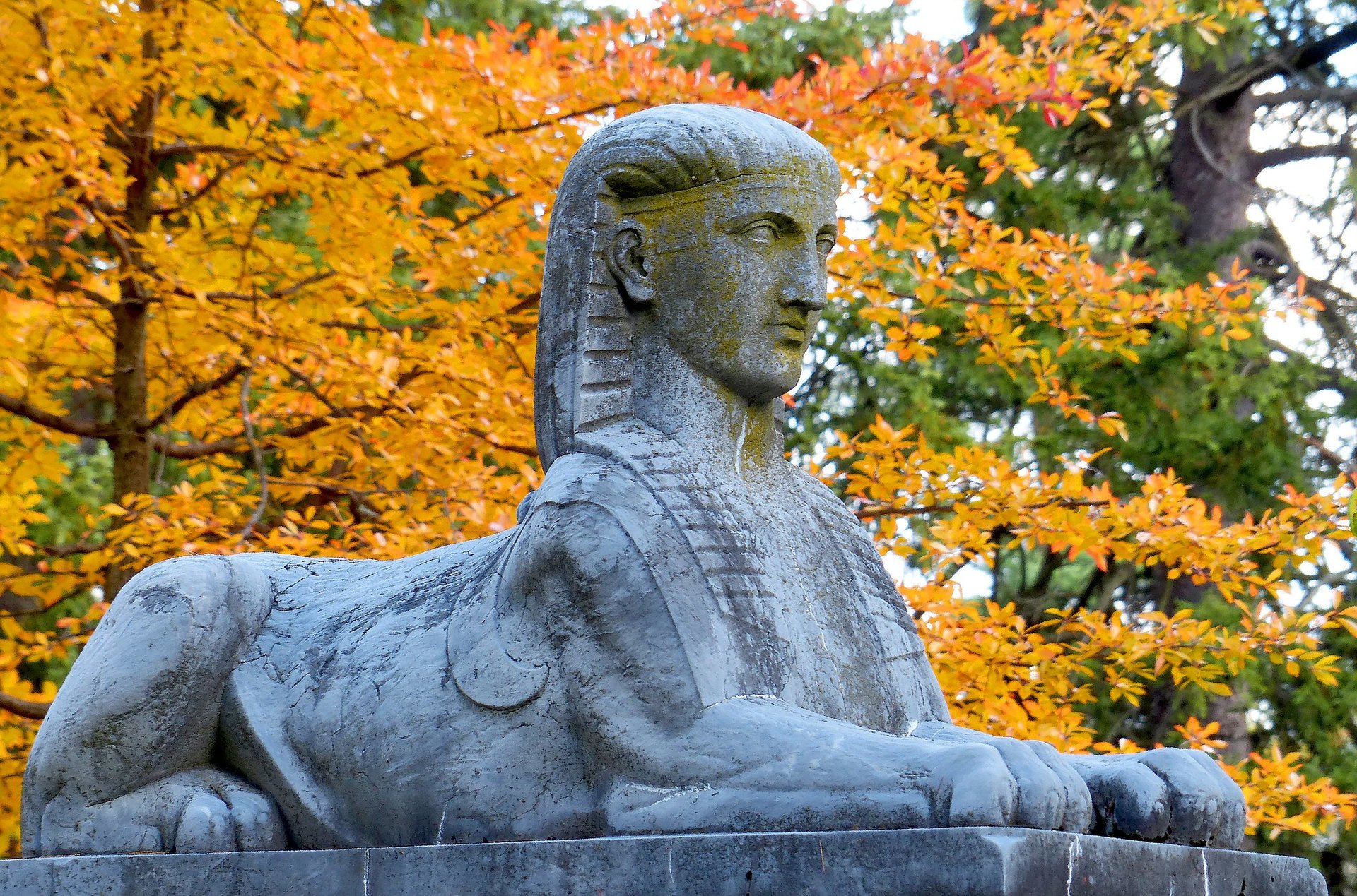 Colores de otoño de Cincinnati