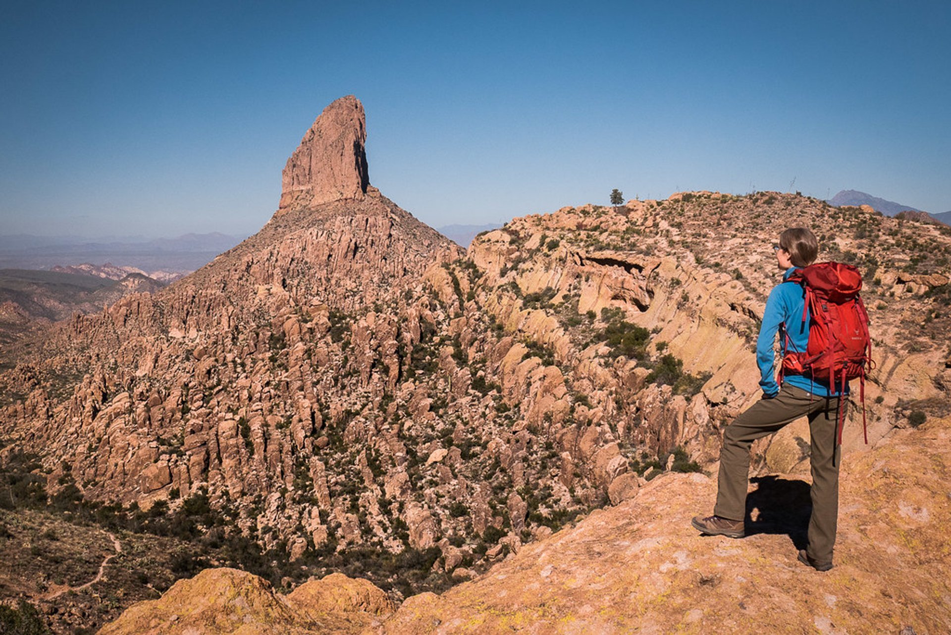 Weavers Needle