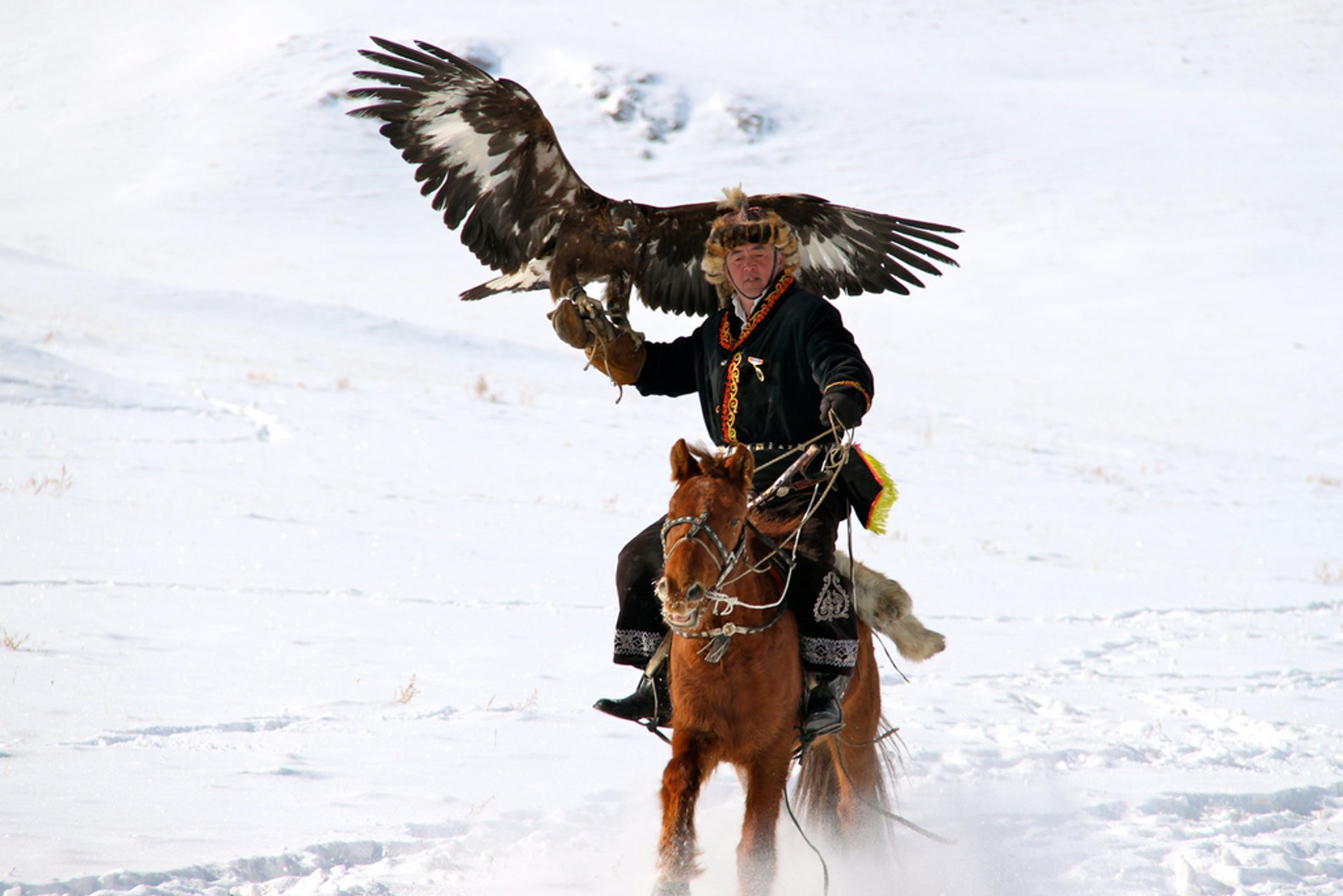 Best Time For Hunting With Eagles In Mongolia 20192020 Map