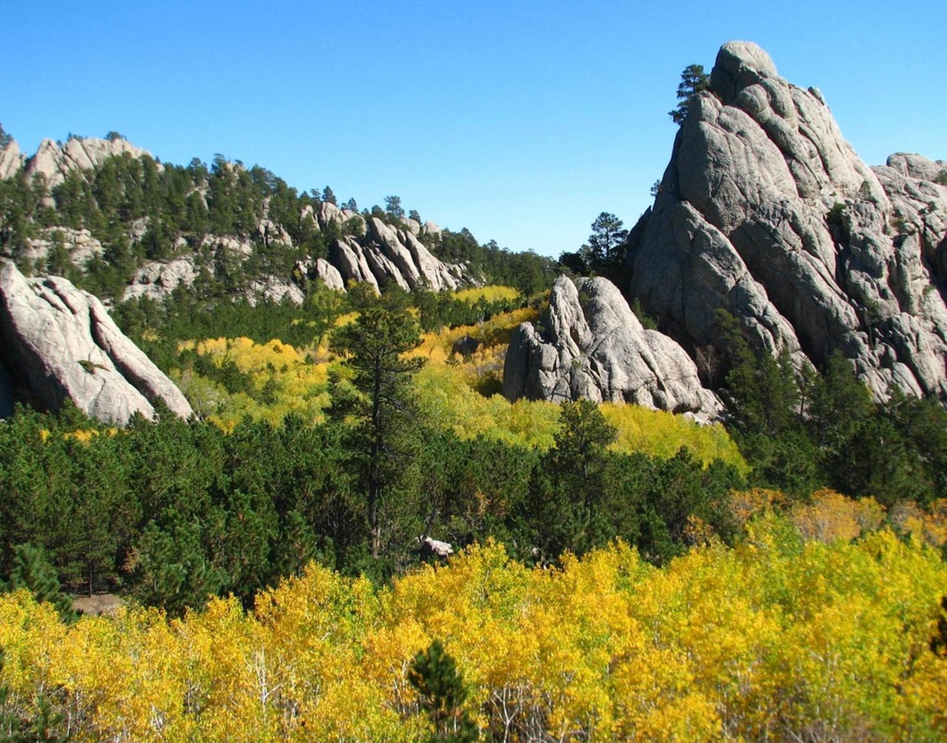 Best Time to See Fall Colors in South Dakota 2024 Rove.me