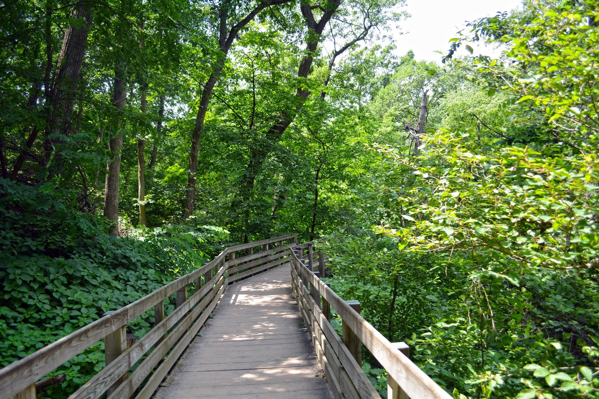 Starved Rock State Park Dining Room