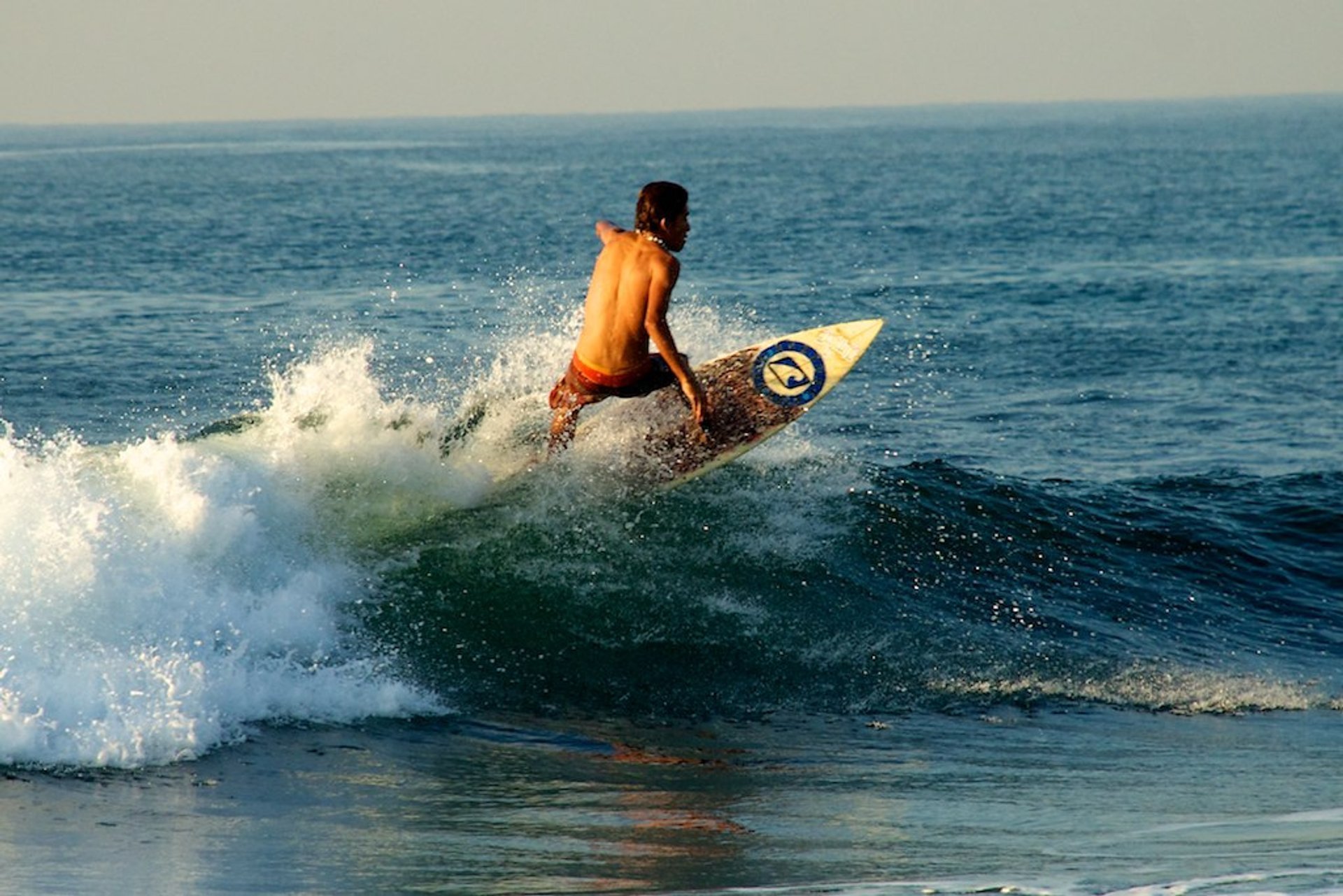 Surfen oder Wellenreiten