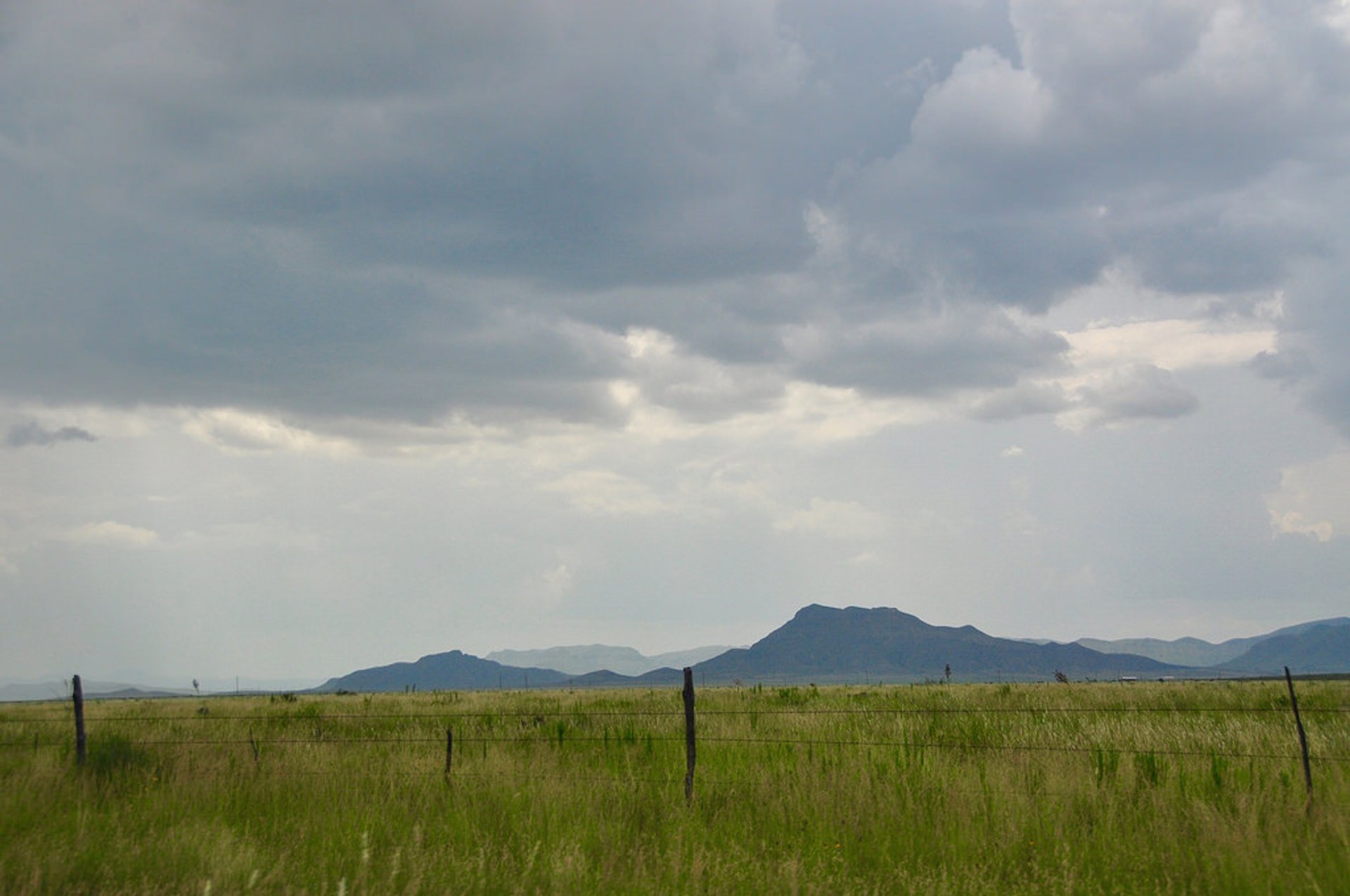 Texas Summer Weather Rove.me