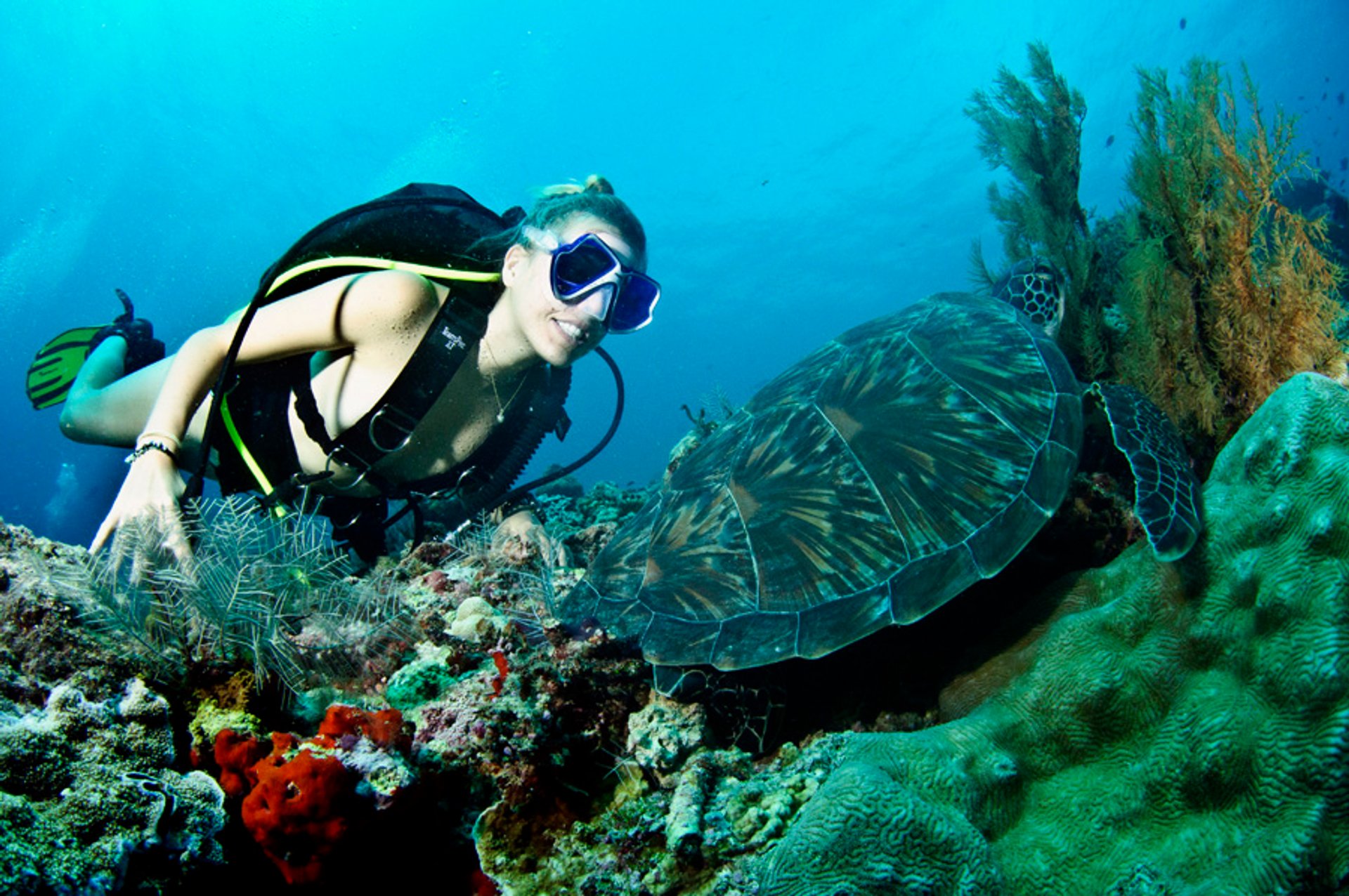 Mergulho perto da Ilha de Borneo