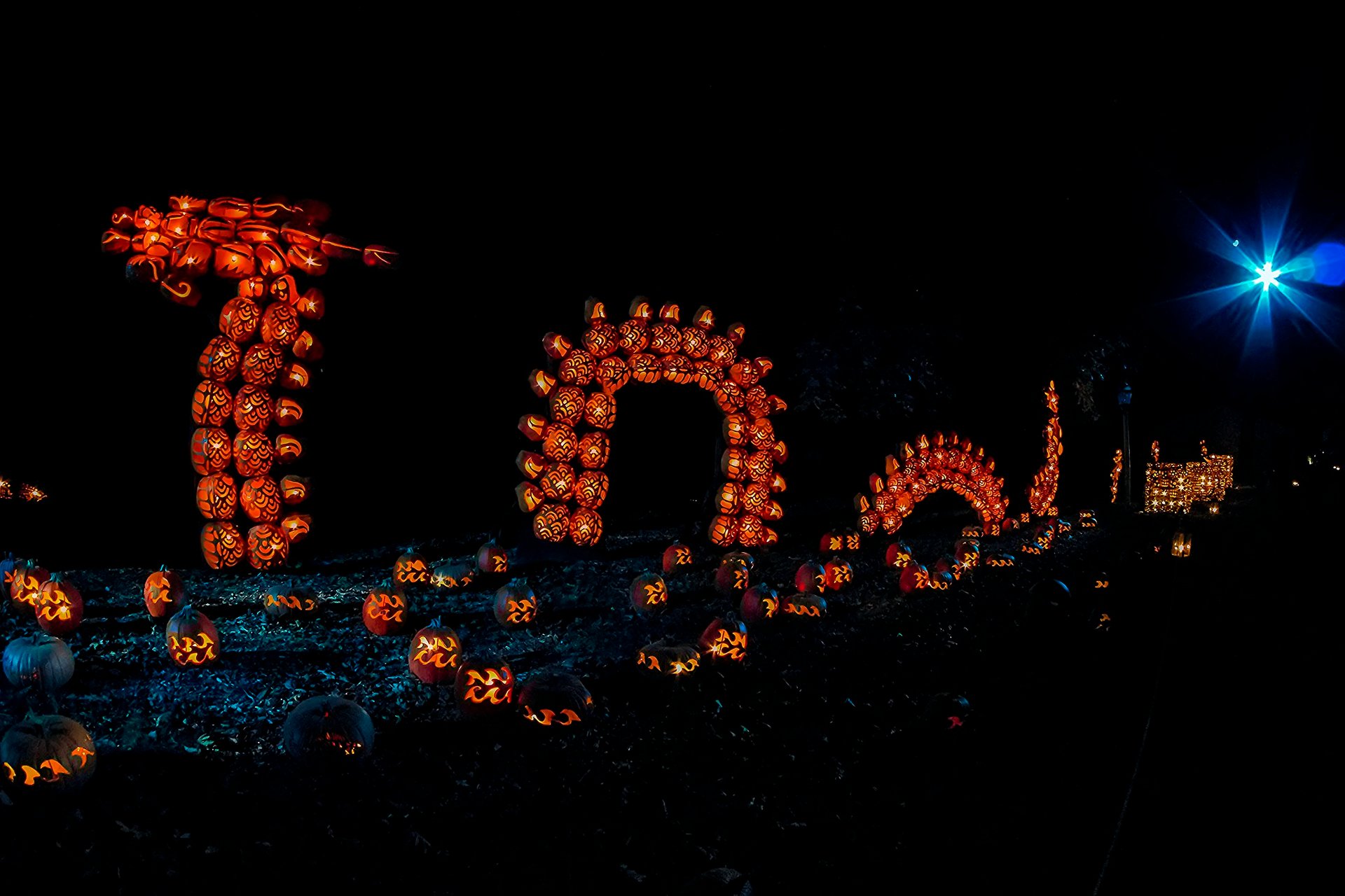 Gran Jack O'Lantern Blaze