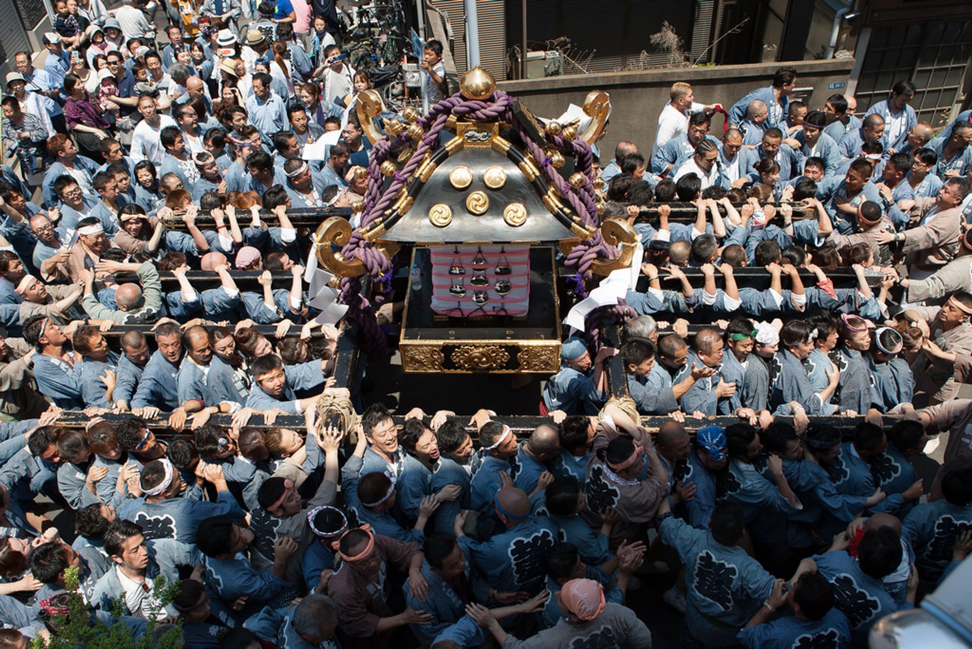 Asakusa Sanja Matsuri Festival