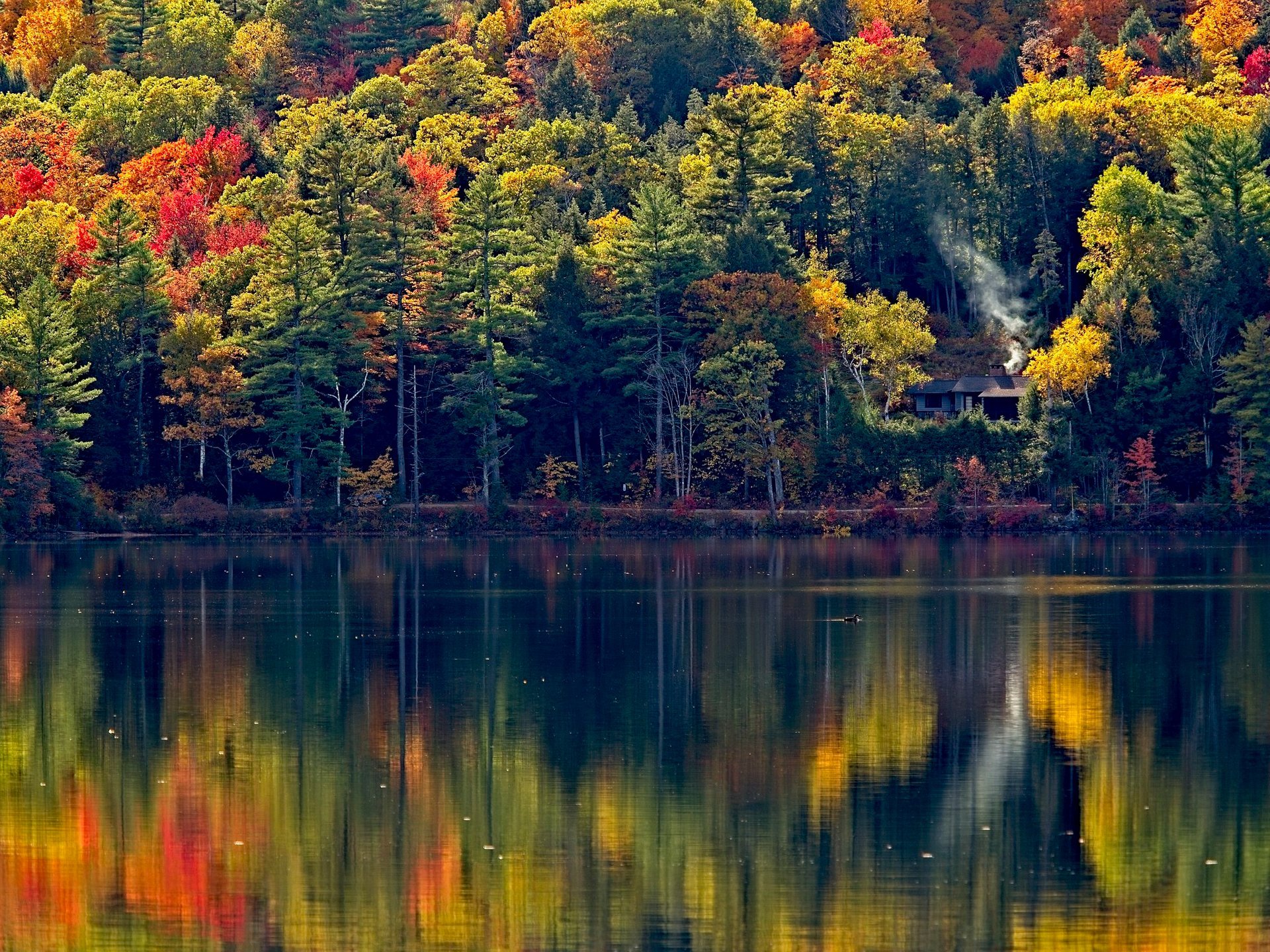 Herbstfarben in New Hampshire