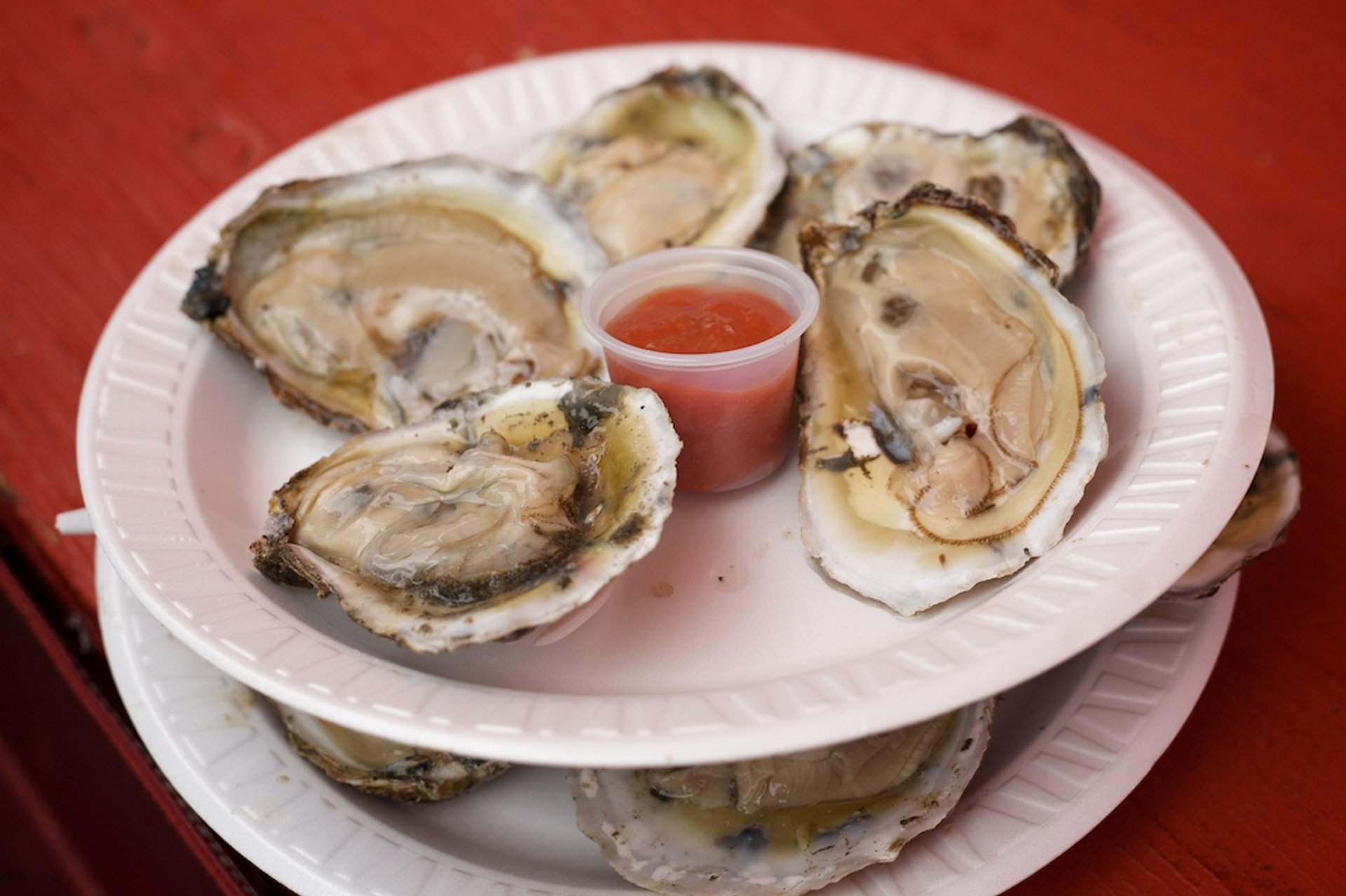 Oyster Festival