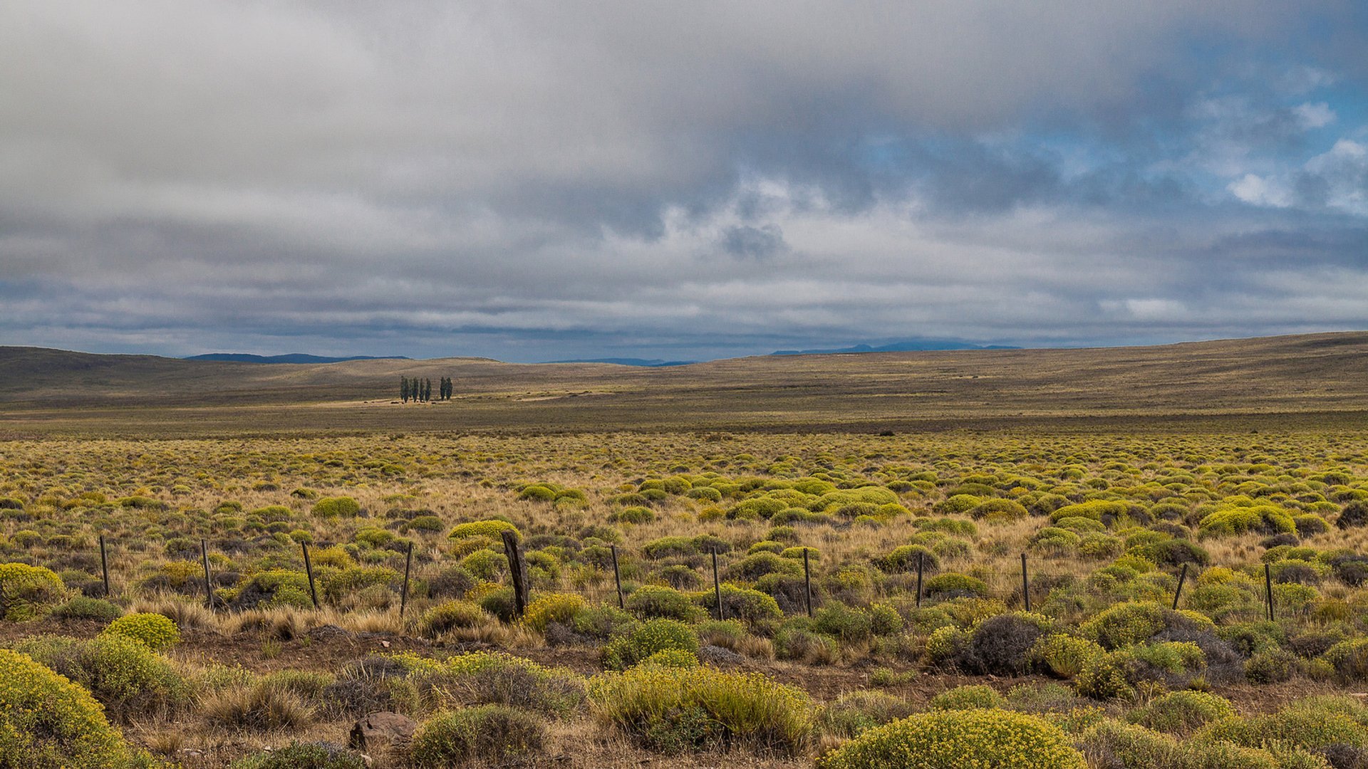 Best time for Pampas in Argentina 2020 - Best Season & Map - Rove.me