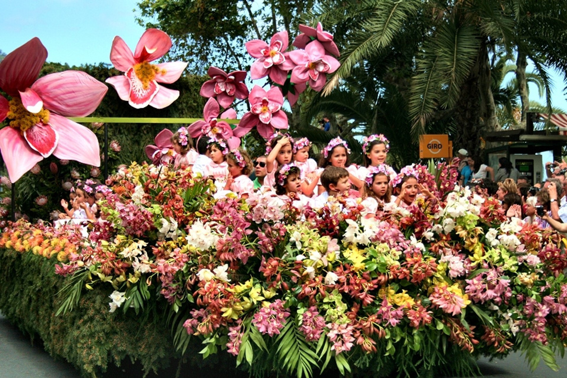 Madeira Flower Festival