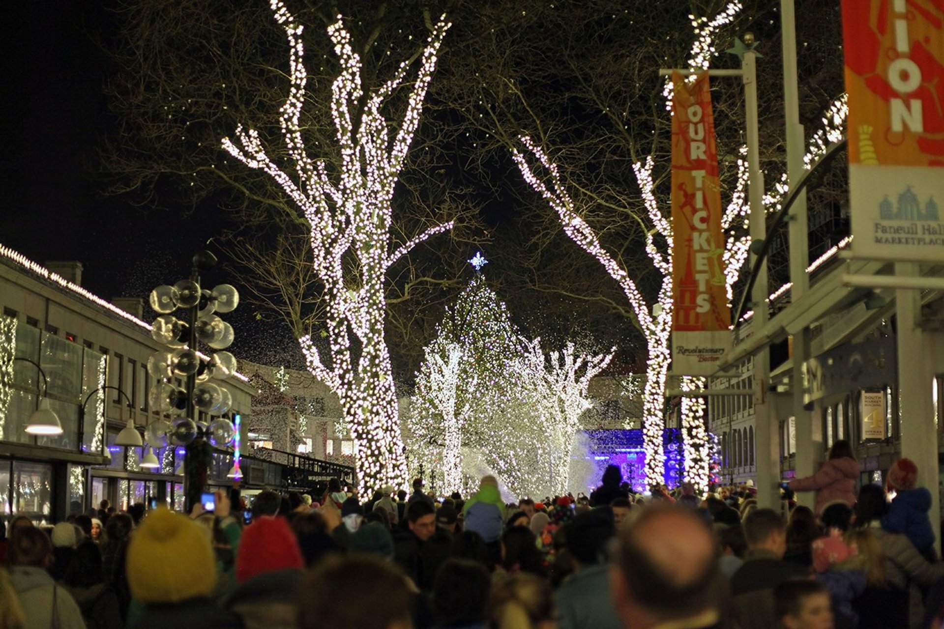 Illuminazione dell'albero di Natale