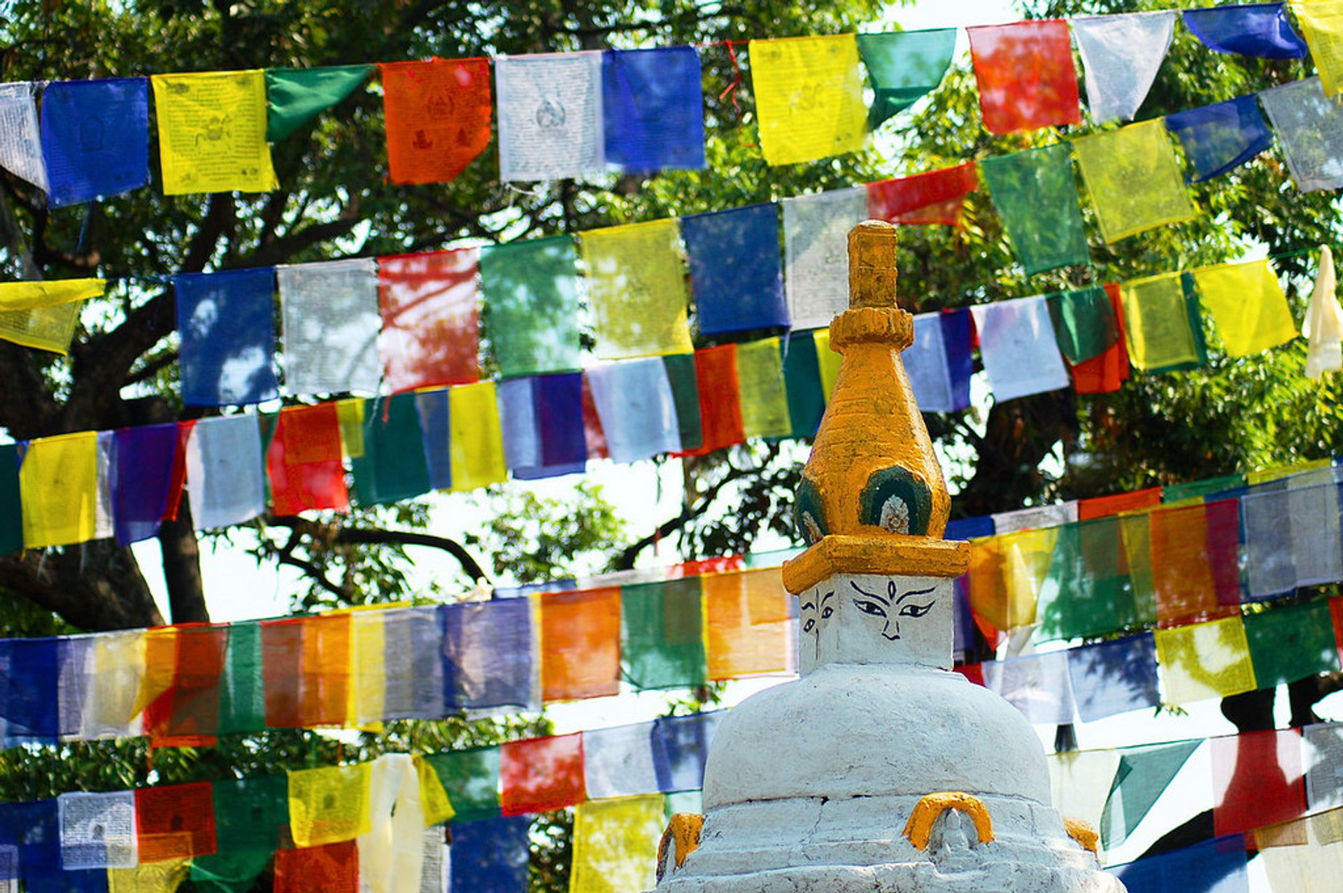 Swayambhunath (templo de los monos)