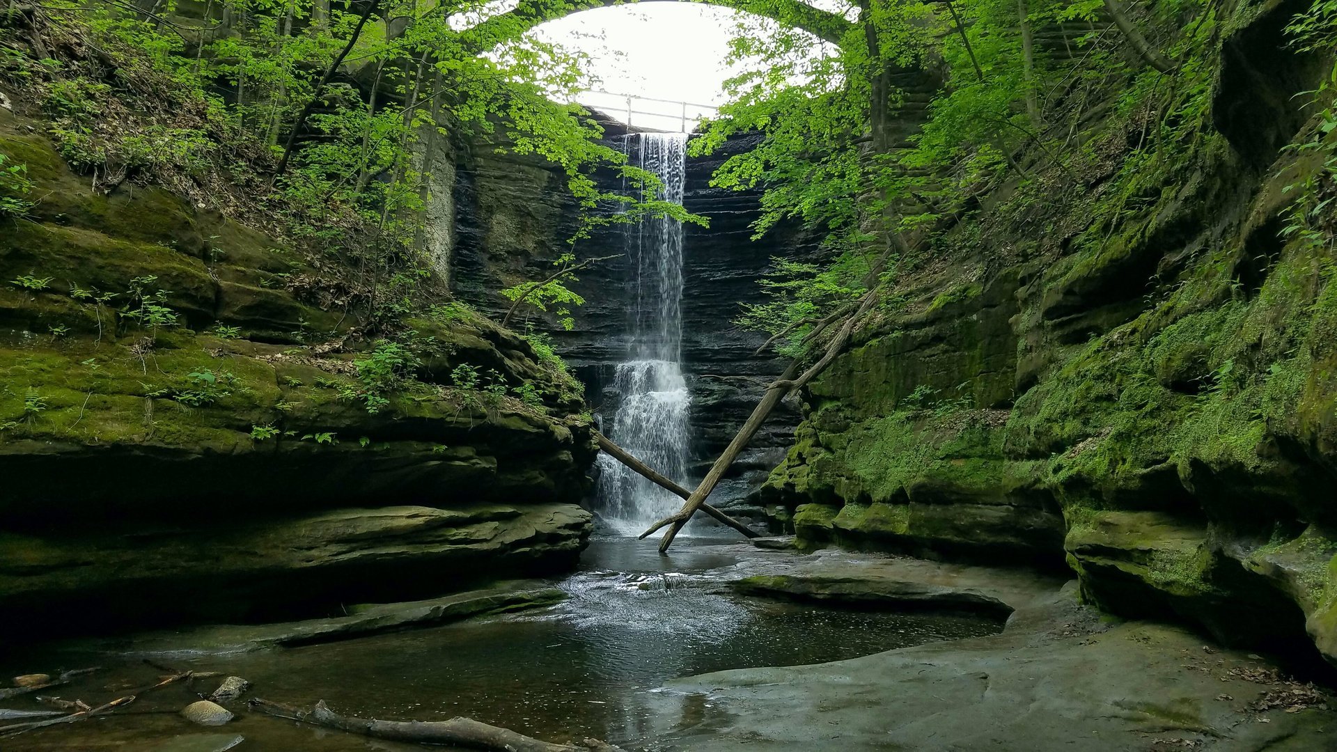 Starved Rock State Park