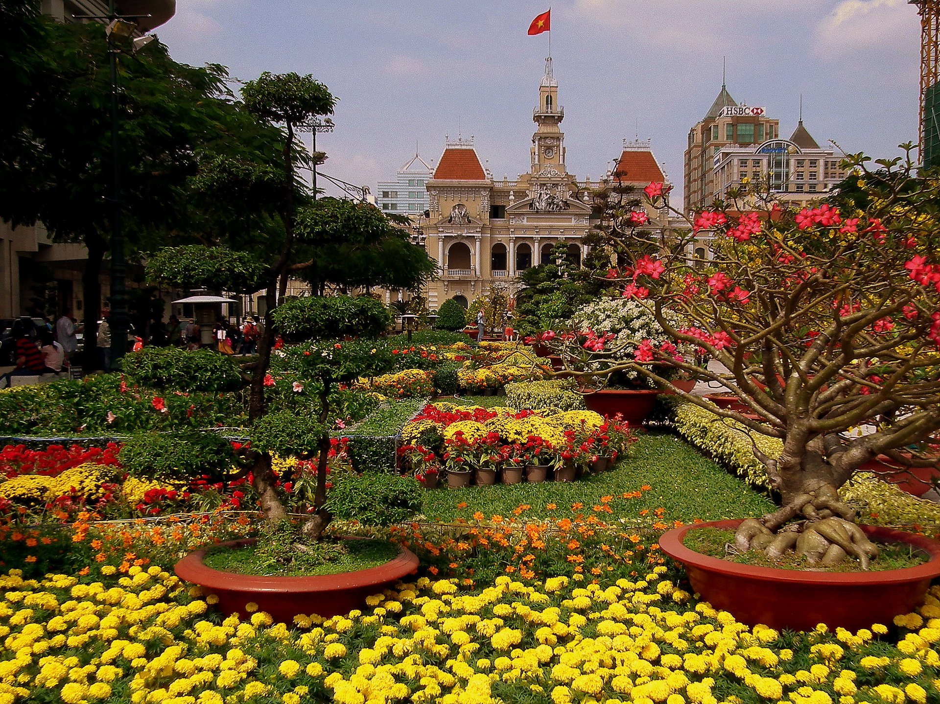 Plantas para Tet