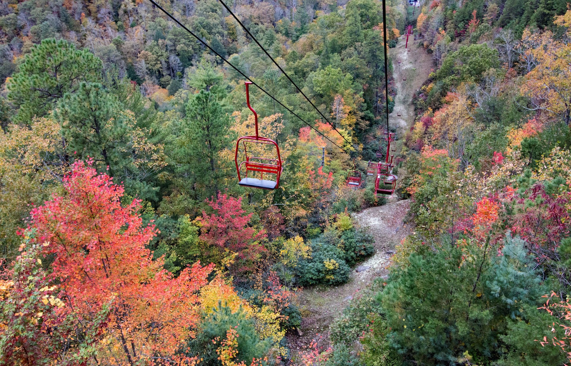 Couleurs d'automne de la Red River Gorge