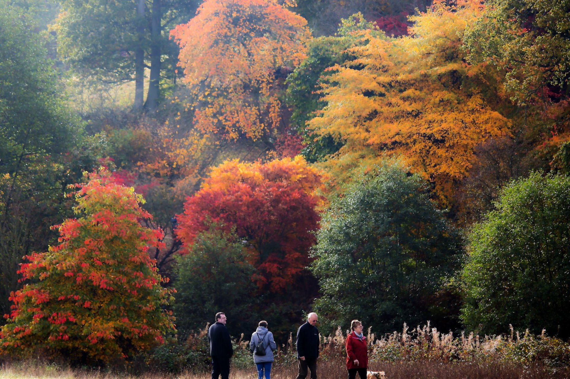 Colores de otoño